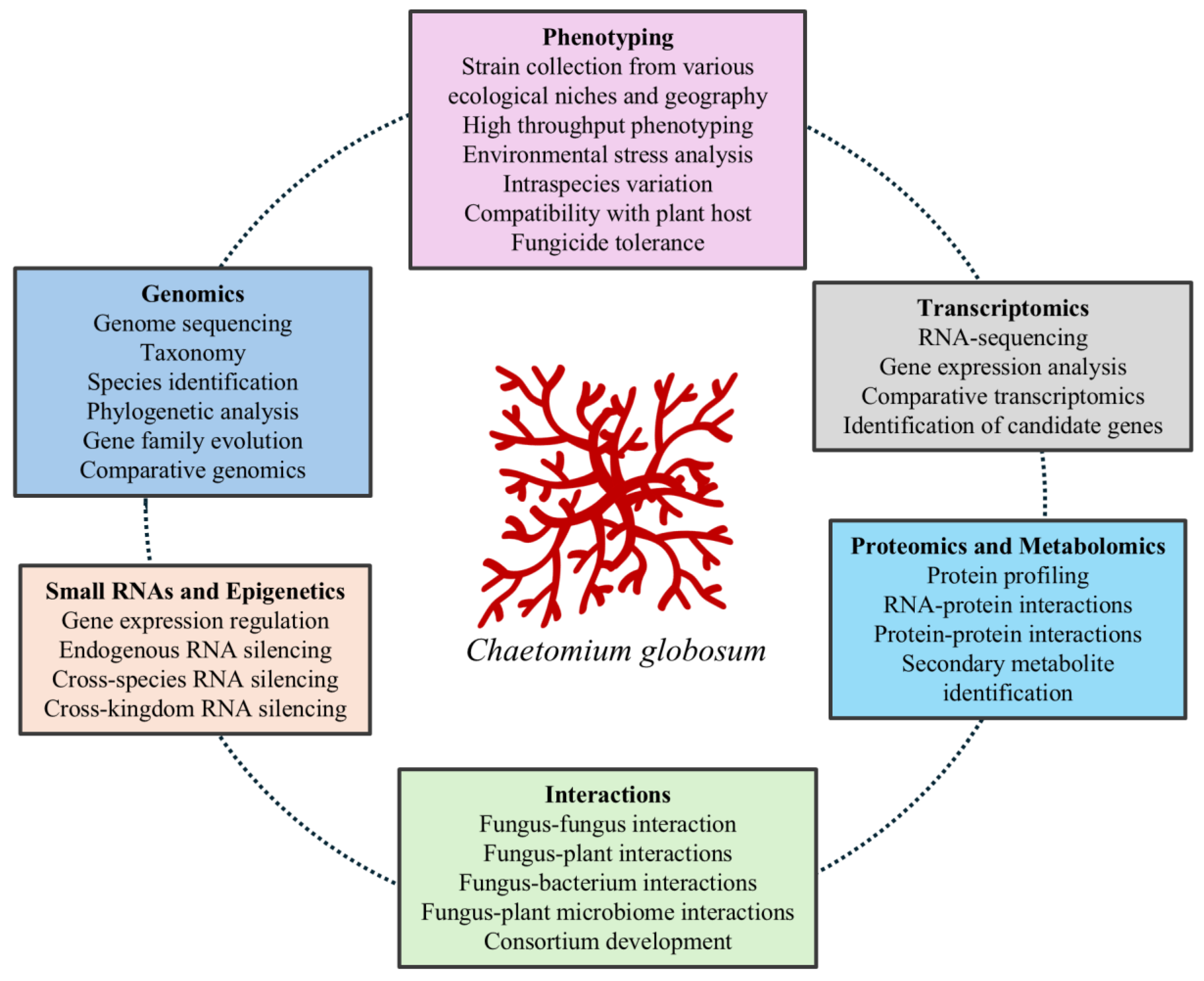 Microorganisms 13 01646 g002