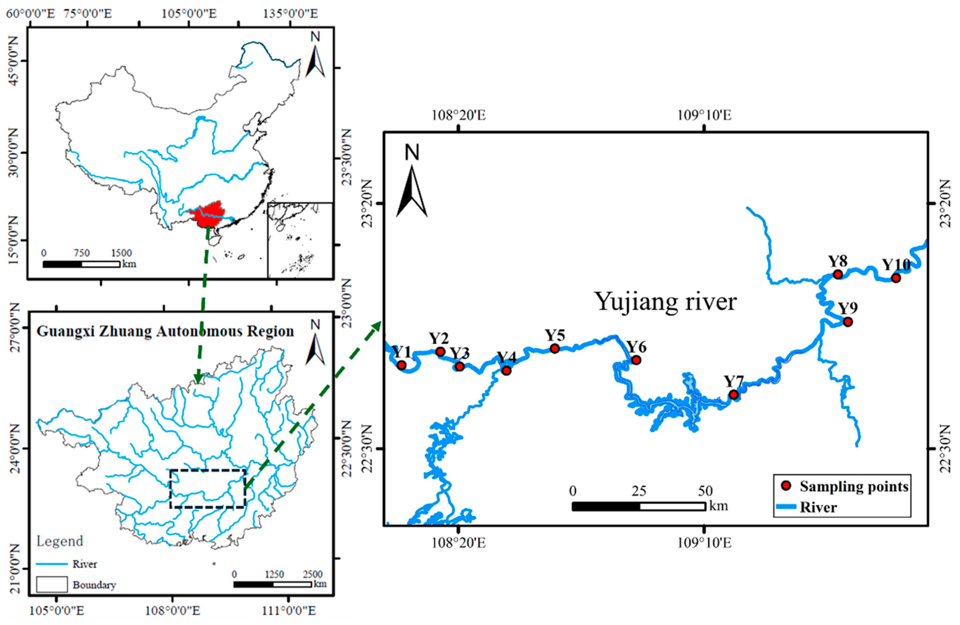 Microorganisms 13 01650 g001