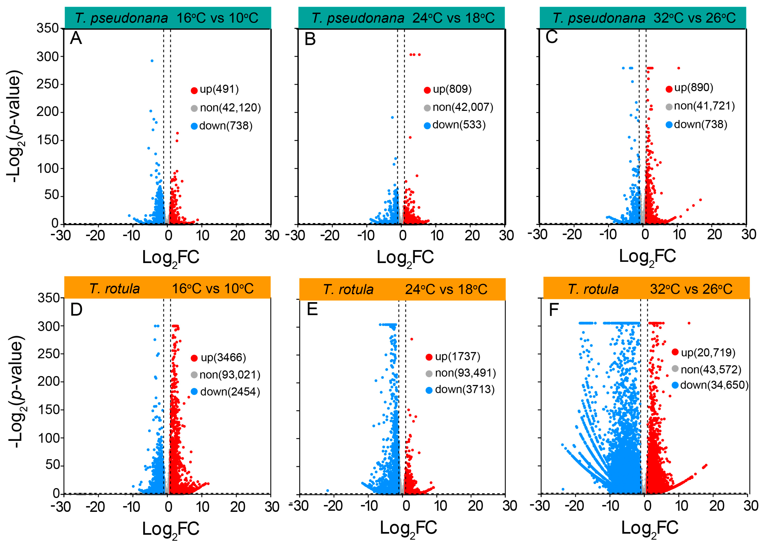 Microorganisms 13 01652 g006
