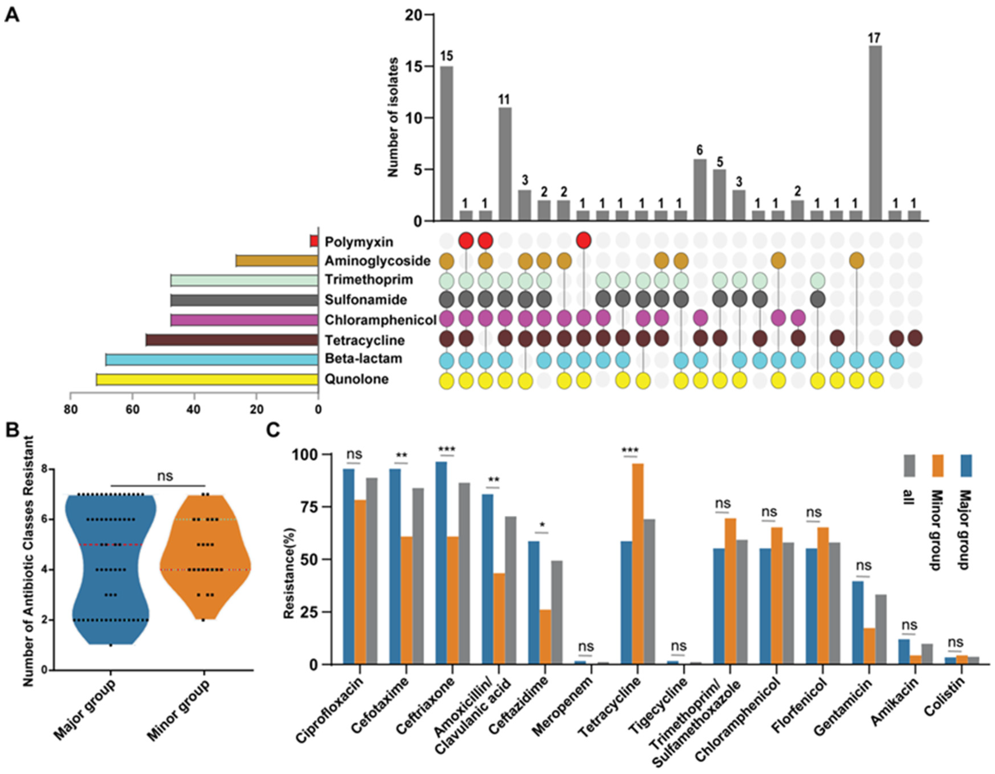 Microorganisms 13 01655 g003