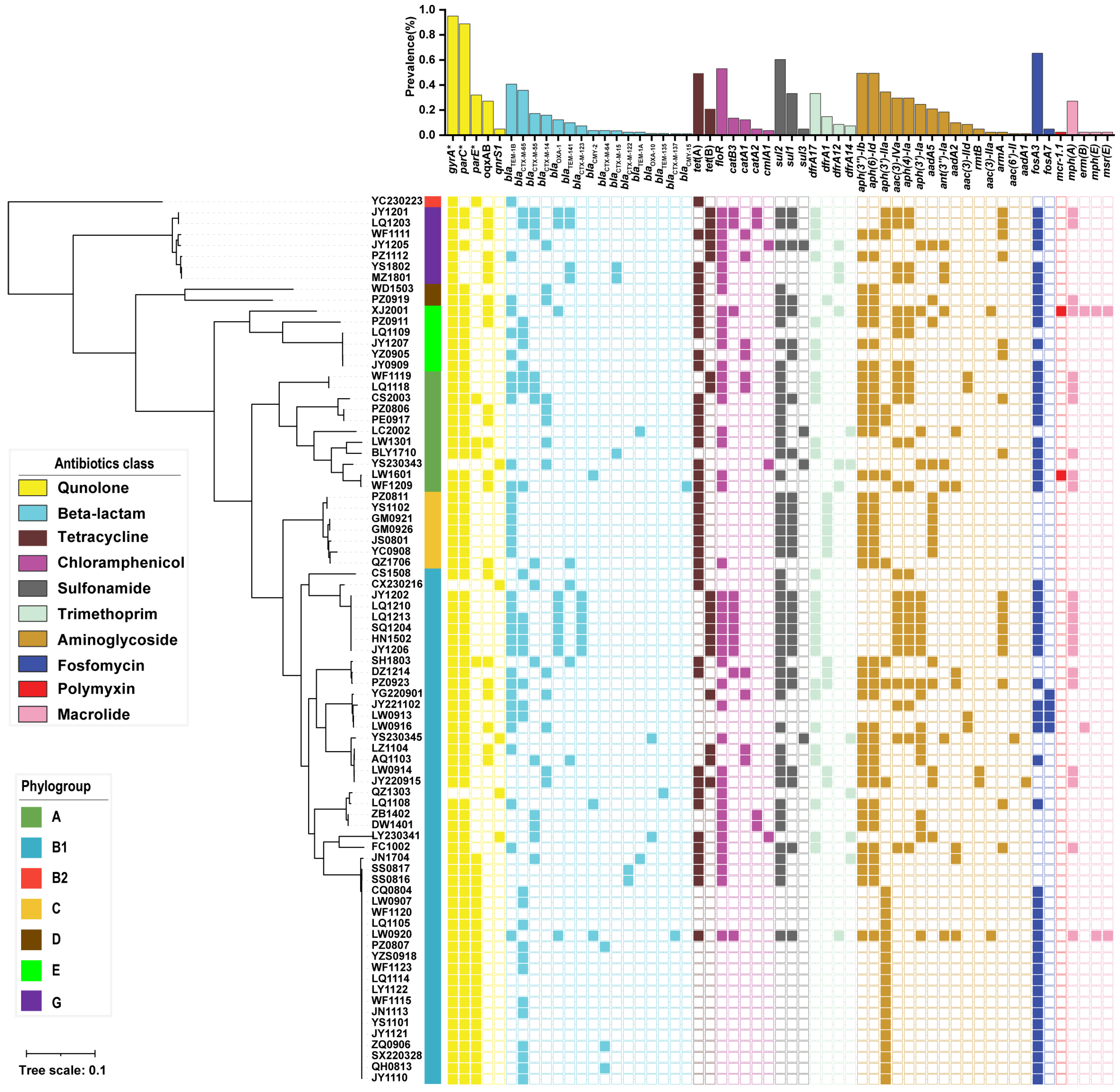 Microorganisms 13 01655 g004