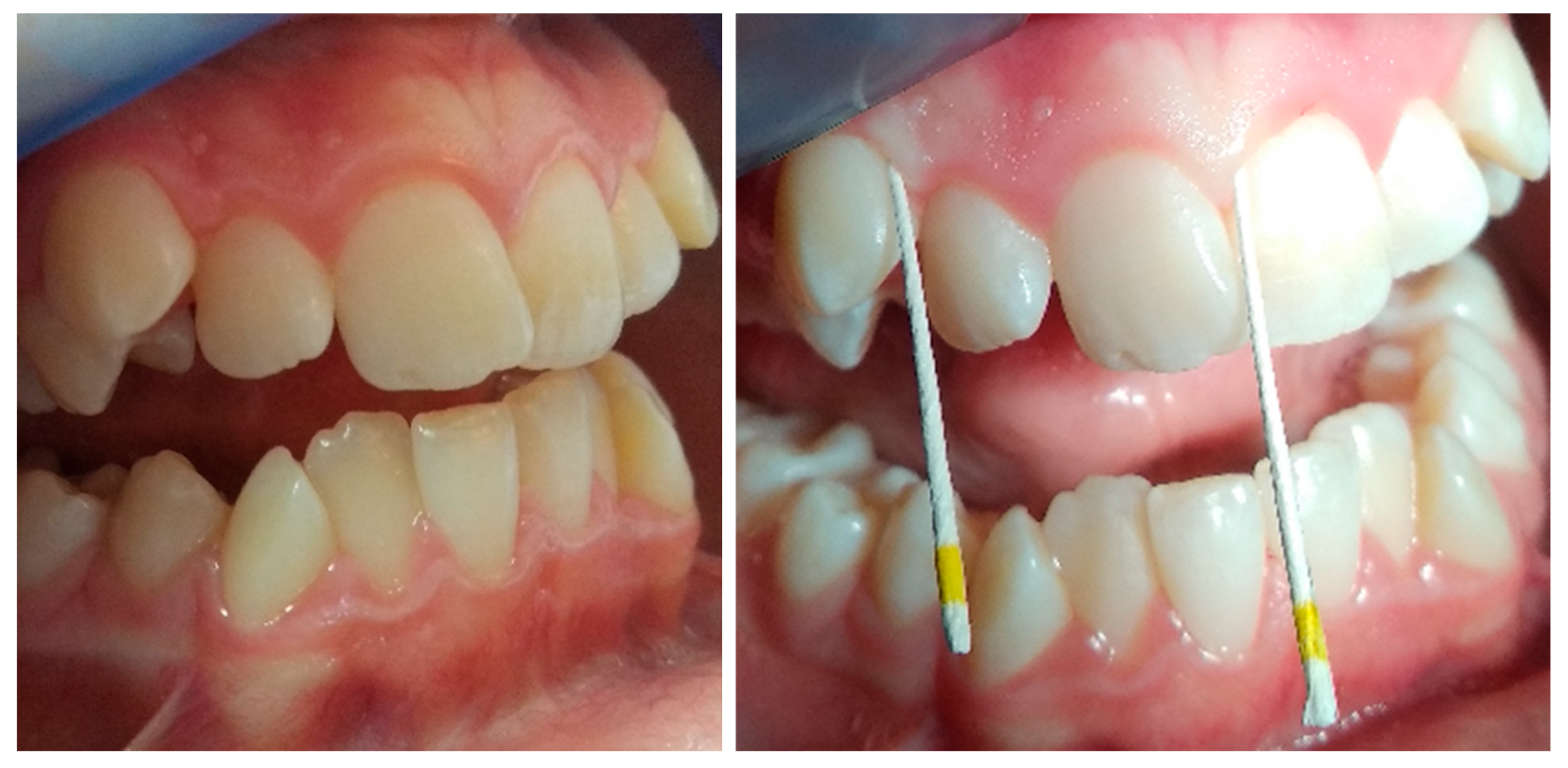 Microorganisms 13 01656 g001