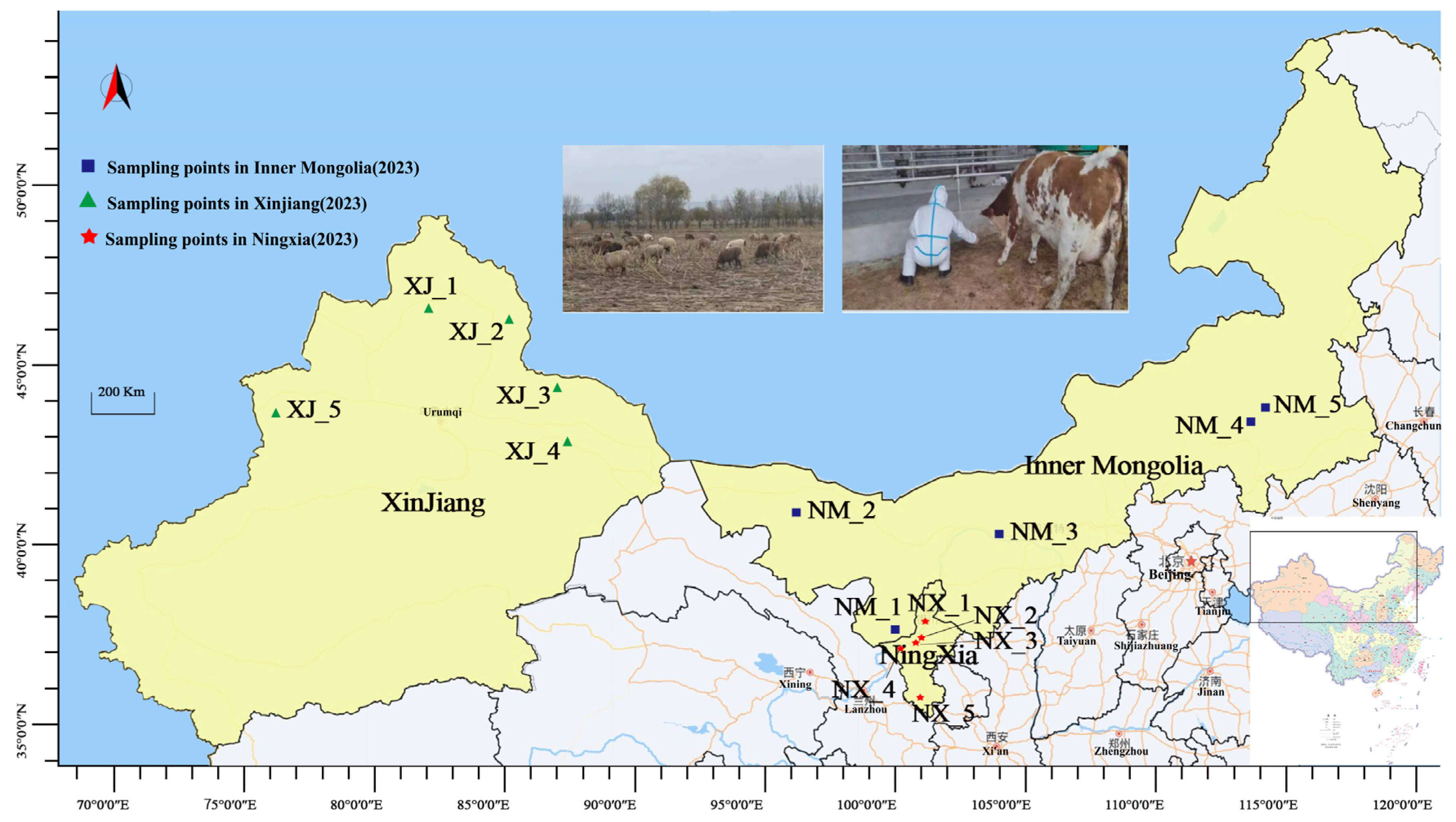 Microorganisms 13 01658 g001