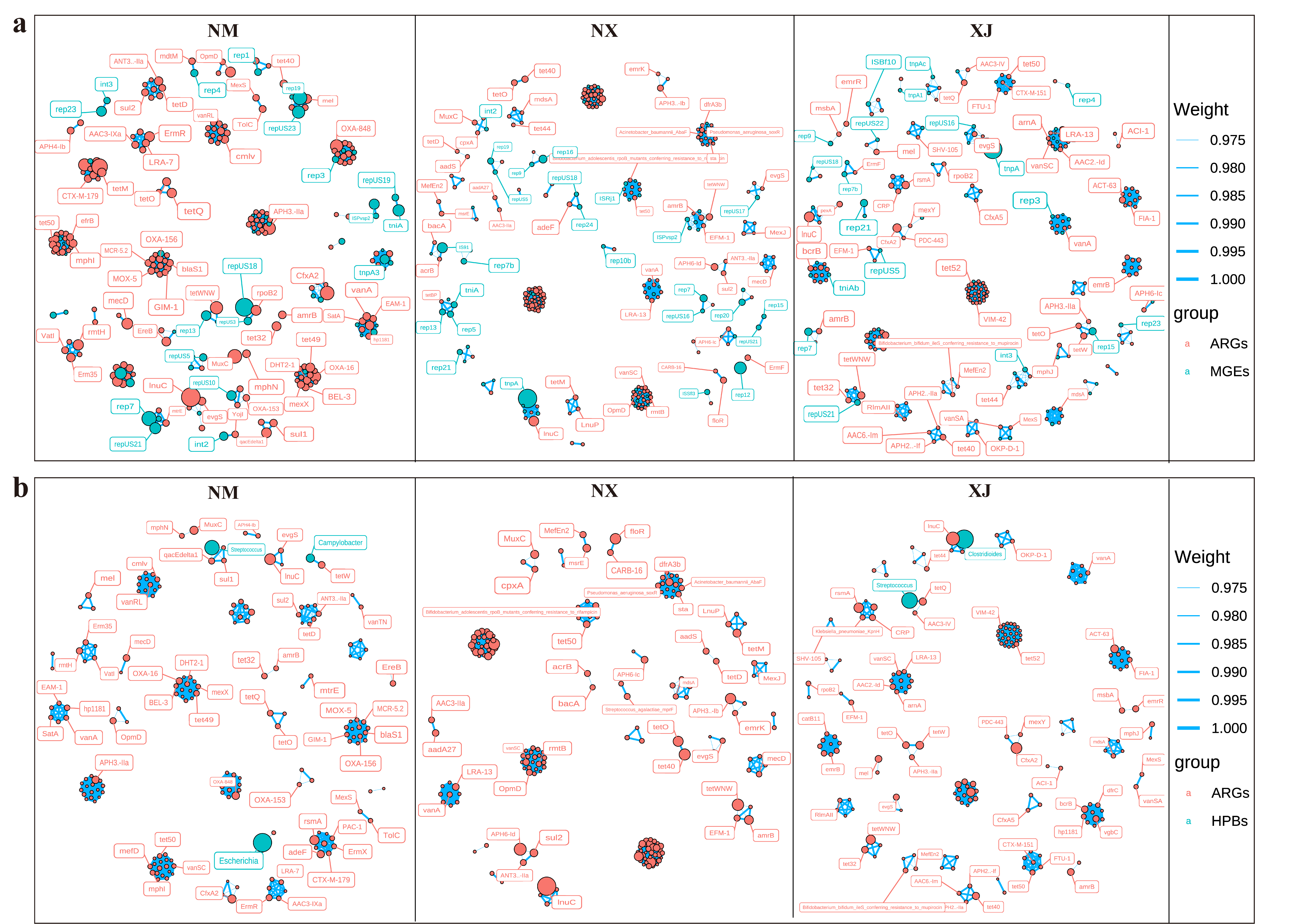 Microorganisms 13 01658 g008