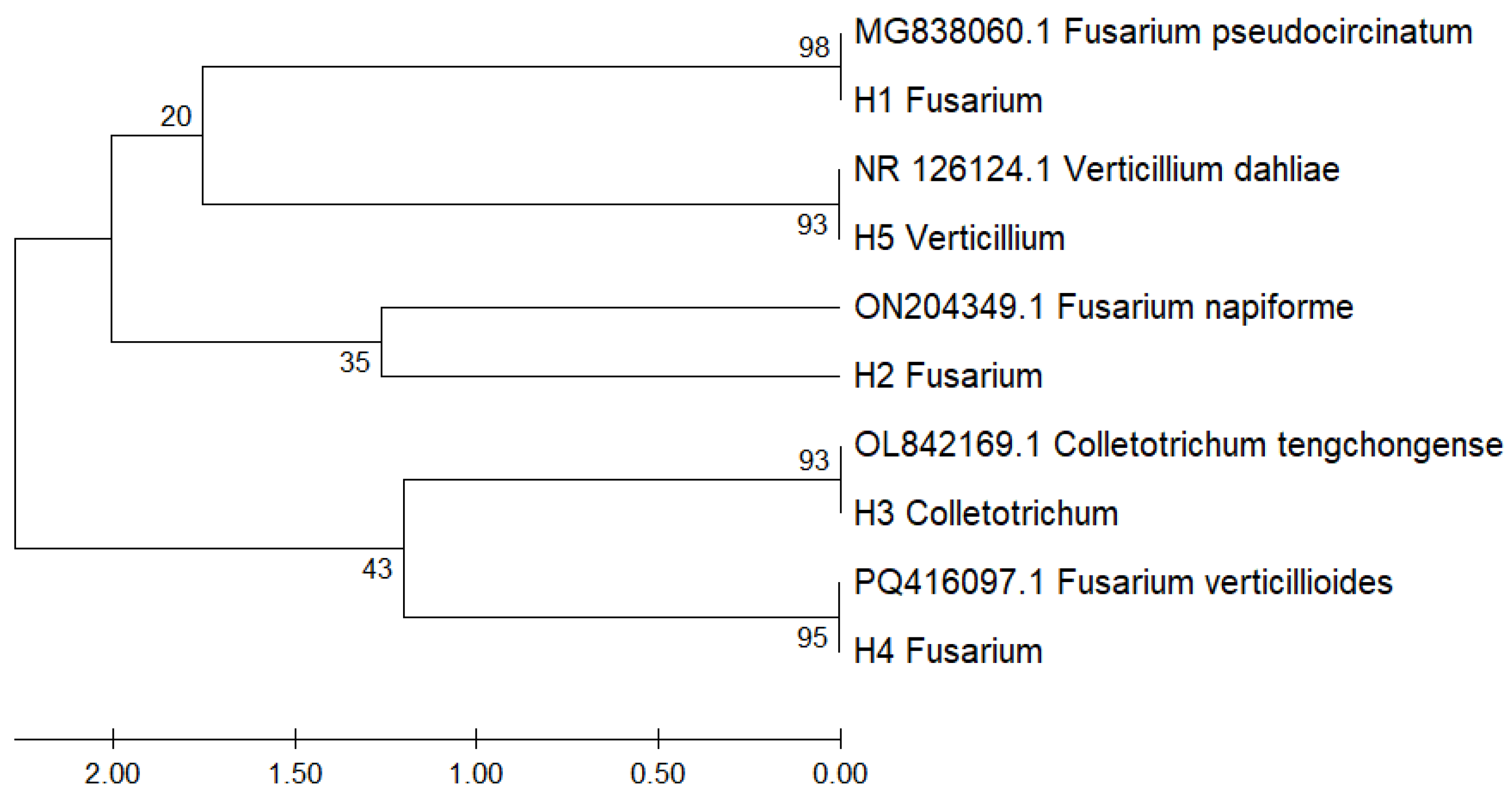 Microorganisms 13 01663 g003