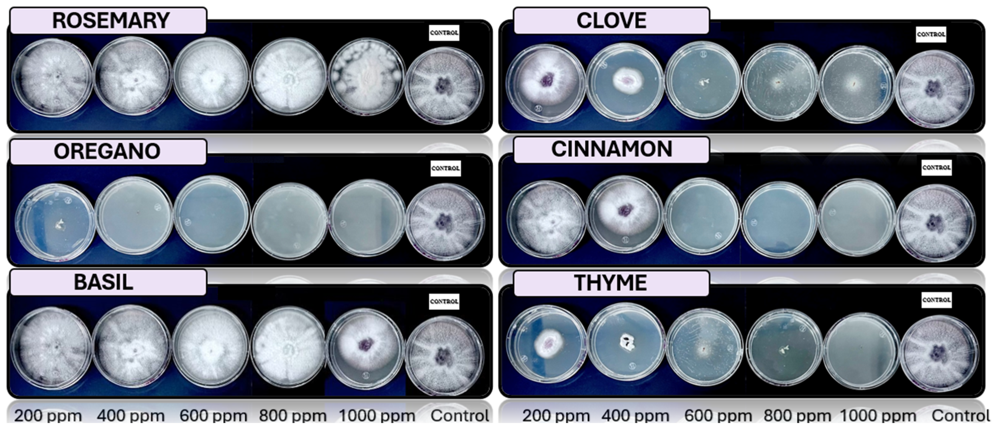 Microorganisms 13 01663 g005