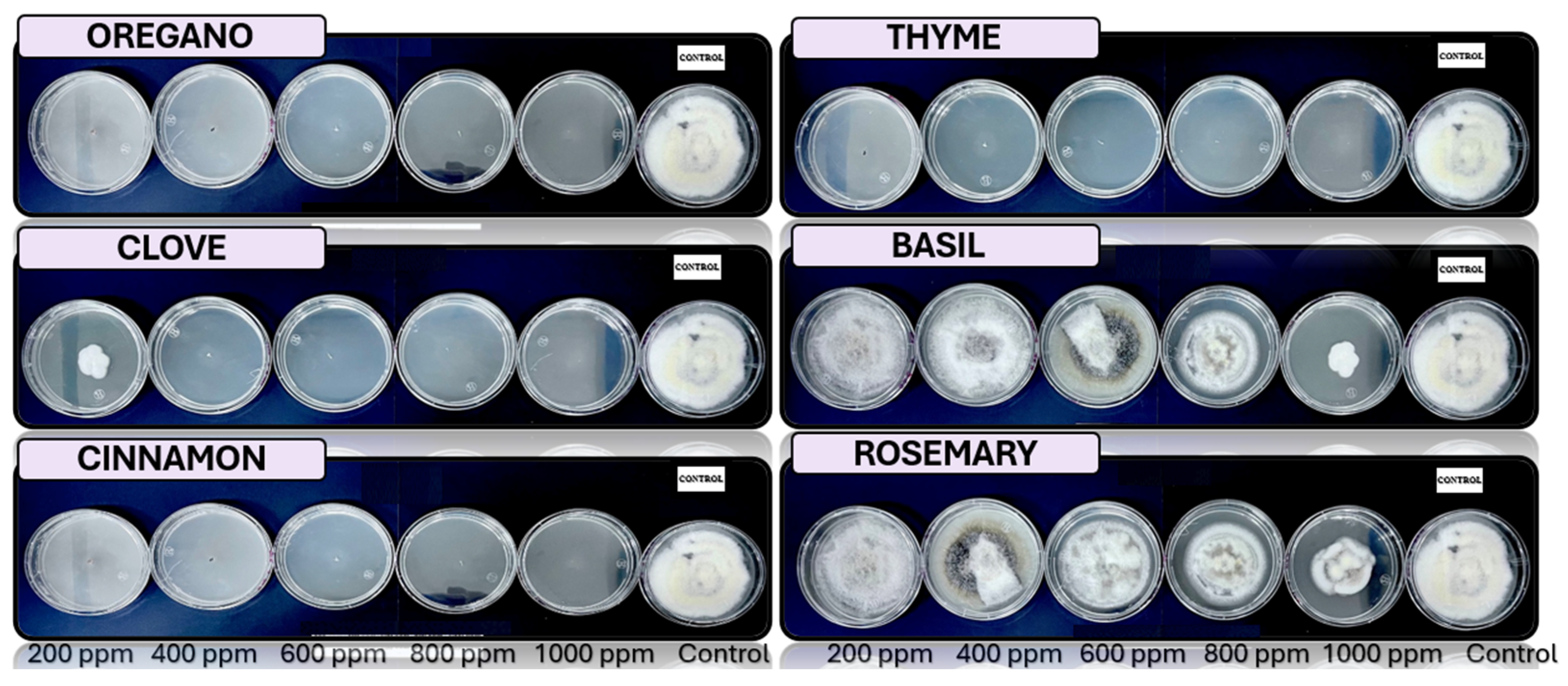 Microorganisms 13 01663 g006