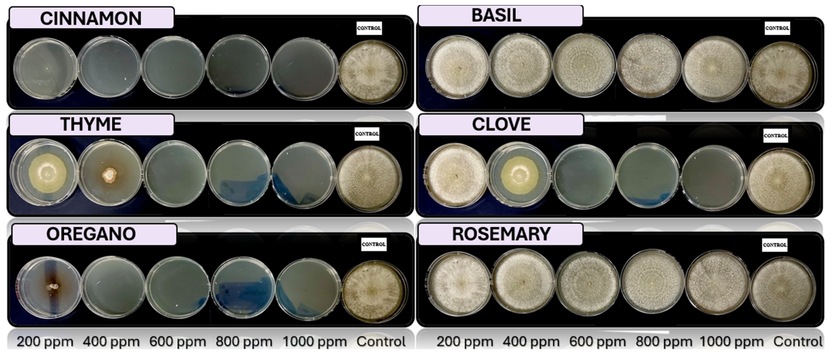 Microorganisms 13 01663 g007