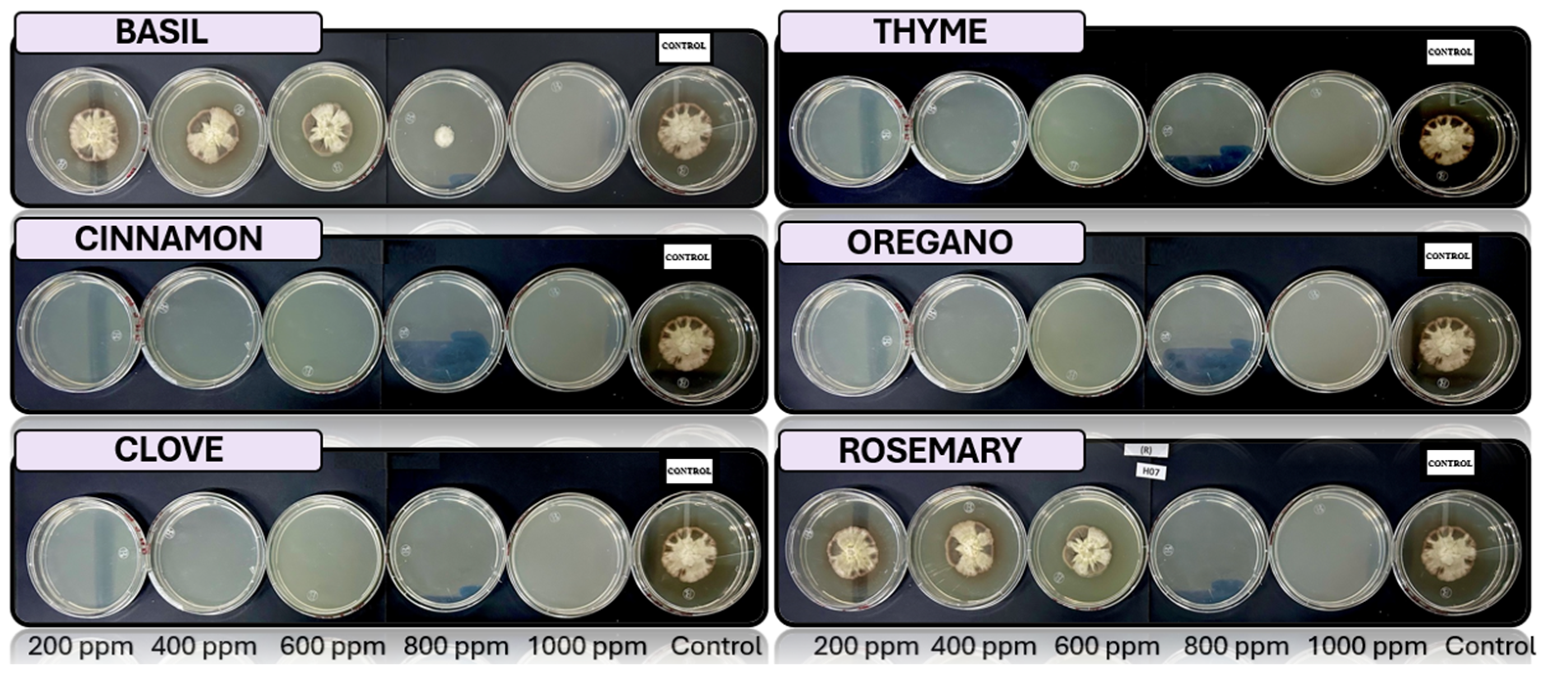 Microorganisms 13 01663 g008