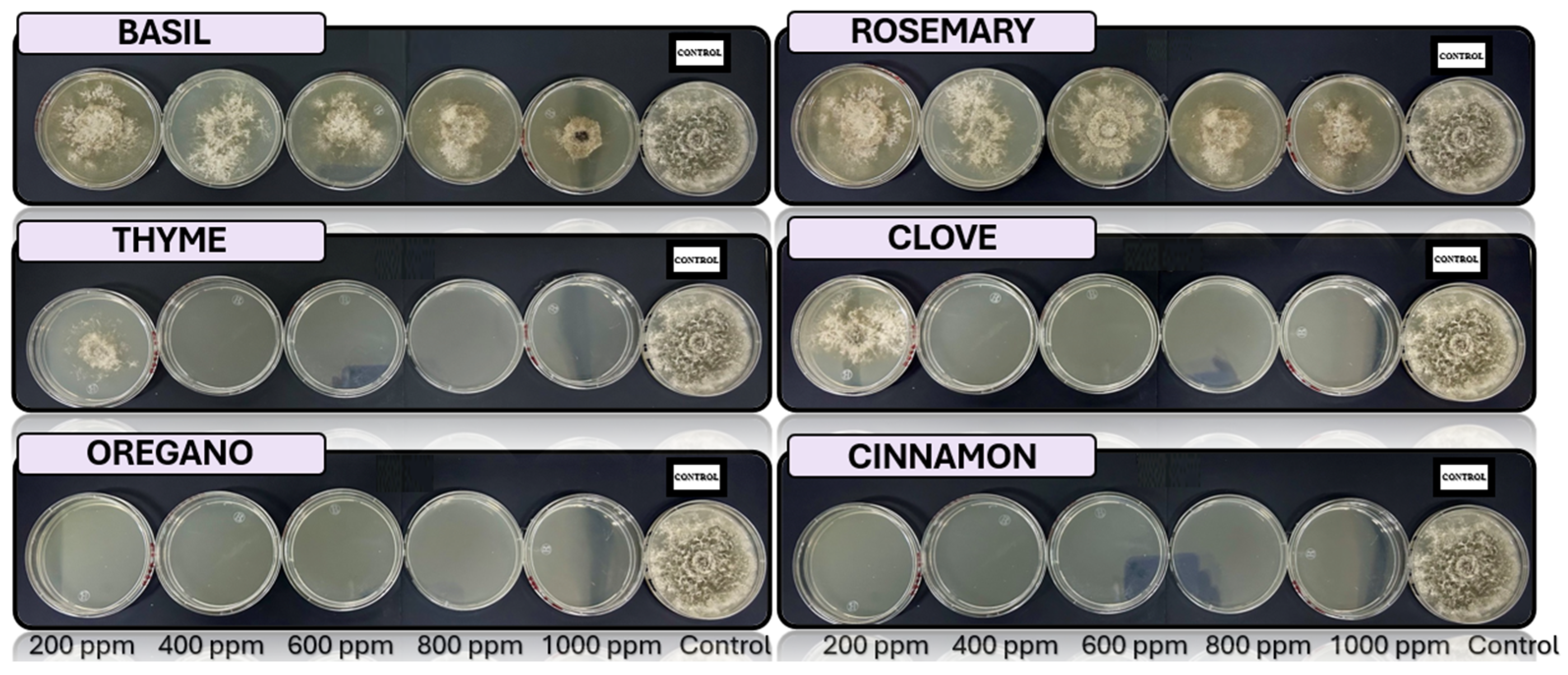 Microorganisms 13 01663 g009