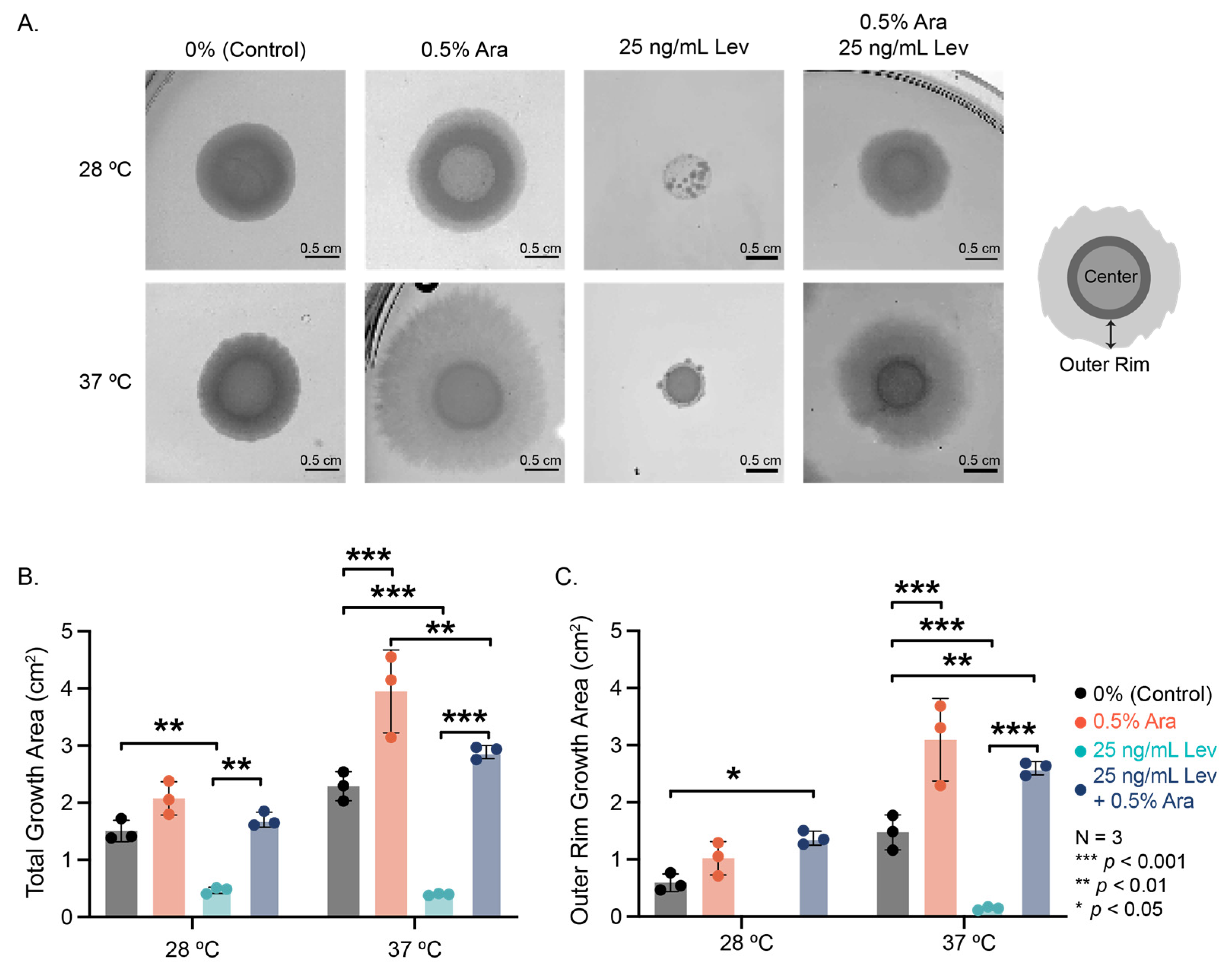 Microorganisms 13 01665 g002
