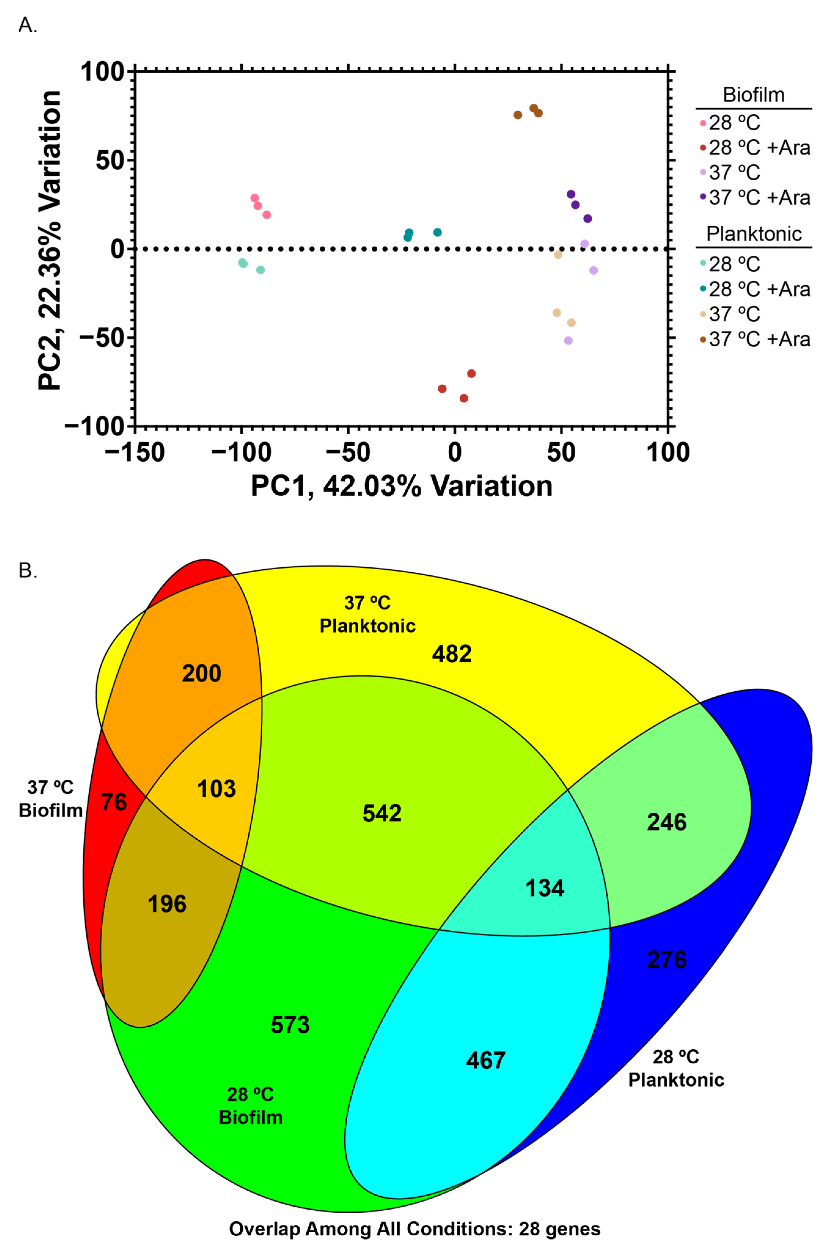 Microorganisms 13 01665 g004
