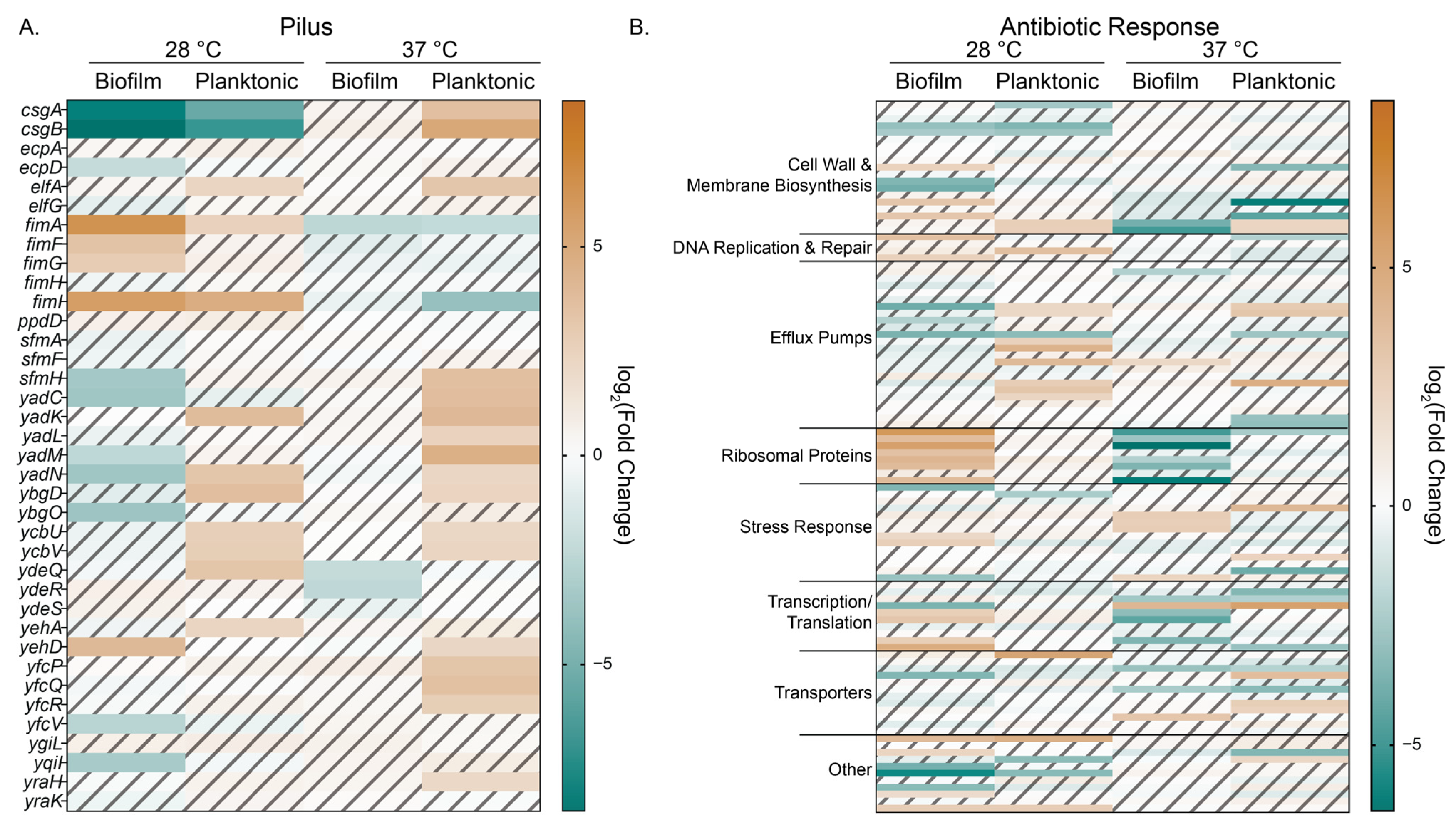 Microorganisms 13 01665 g006