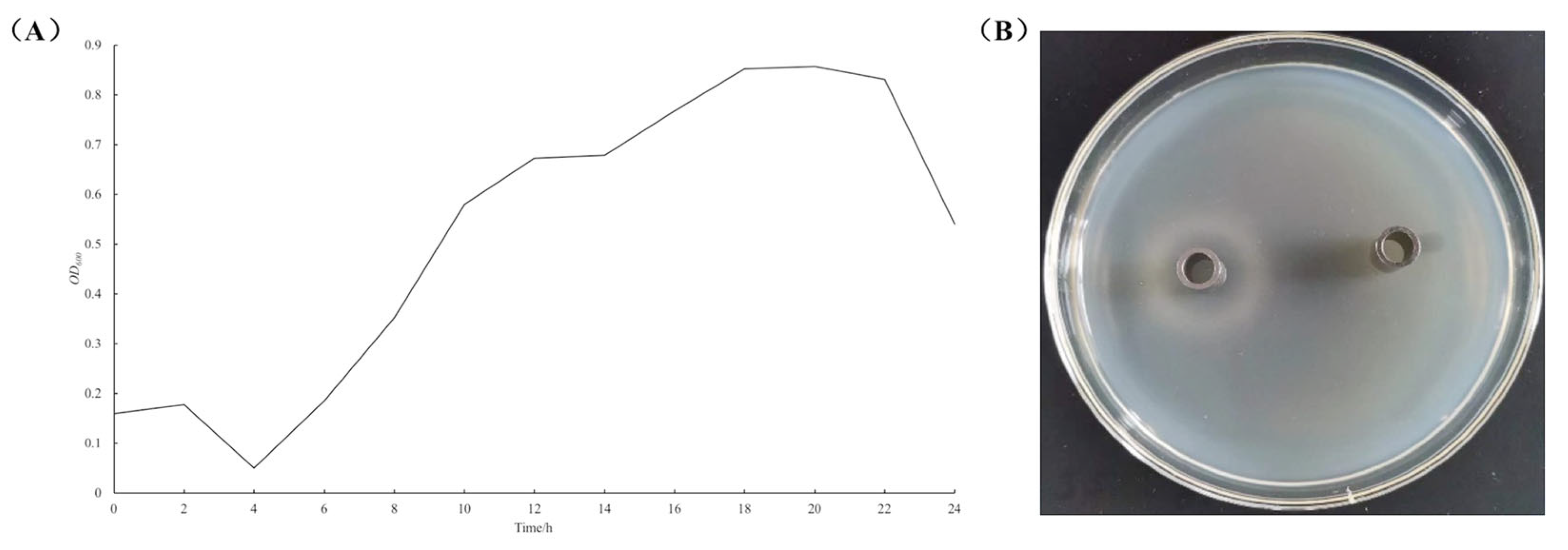 Microorganisms 13 01666 g002