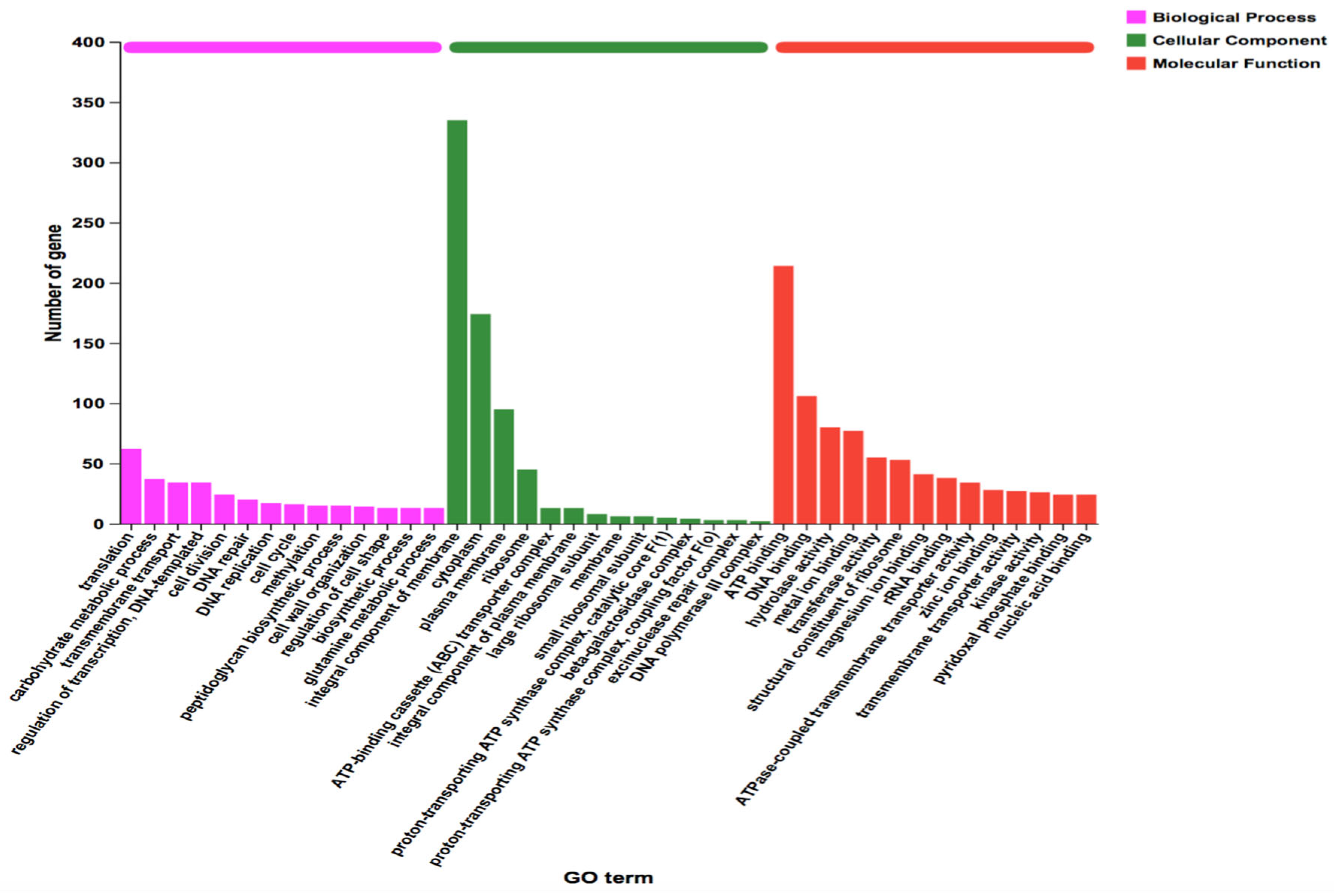 Microorganisms 13 01666 g005