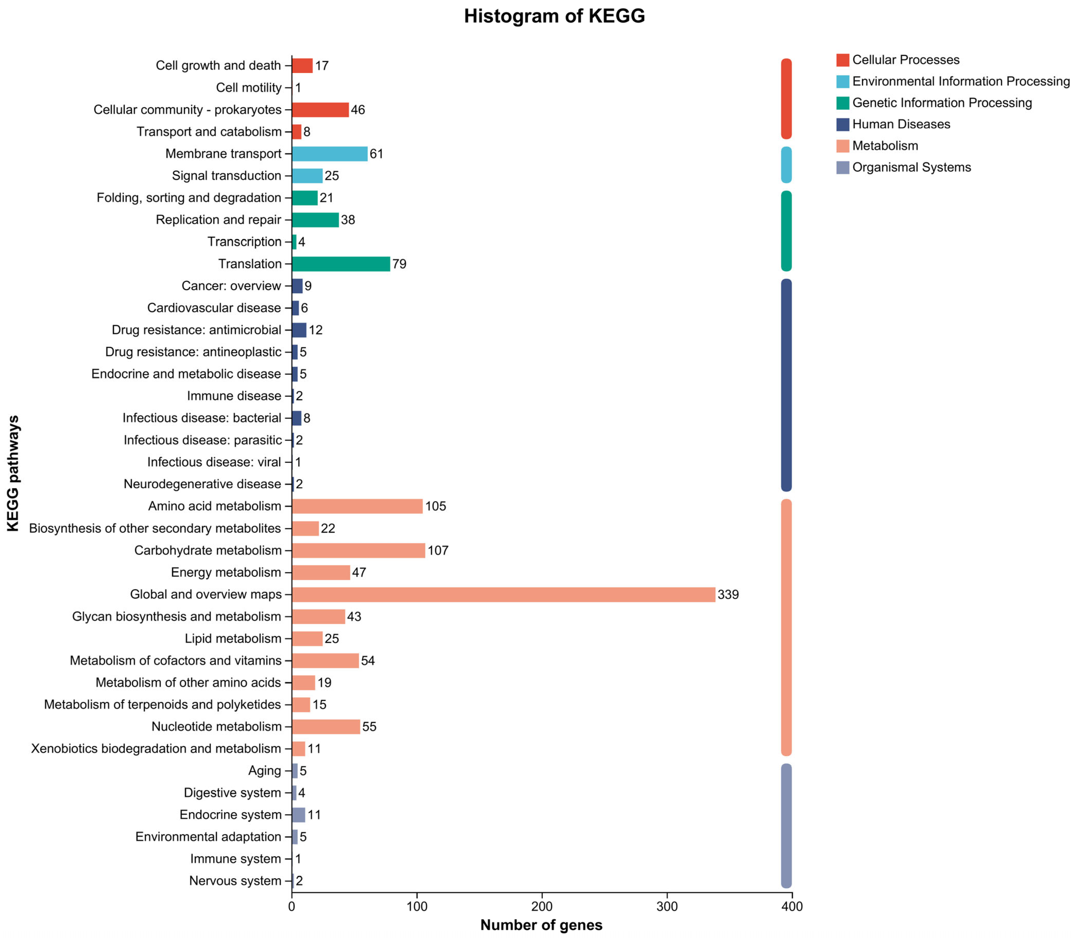 Microorganisms 13 01666 g006