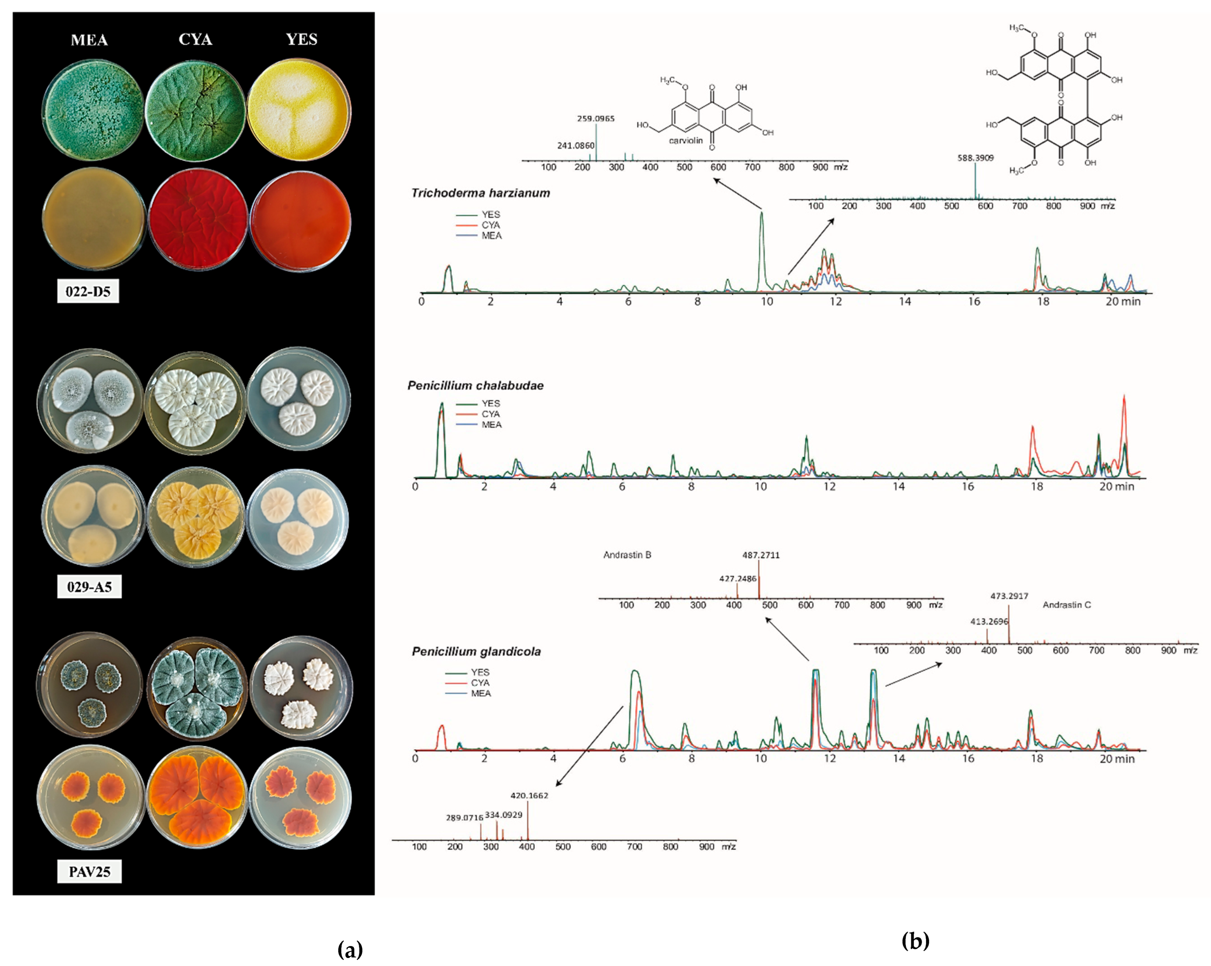 Microorganisms 13 01667 g002