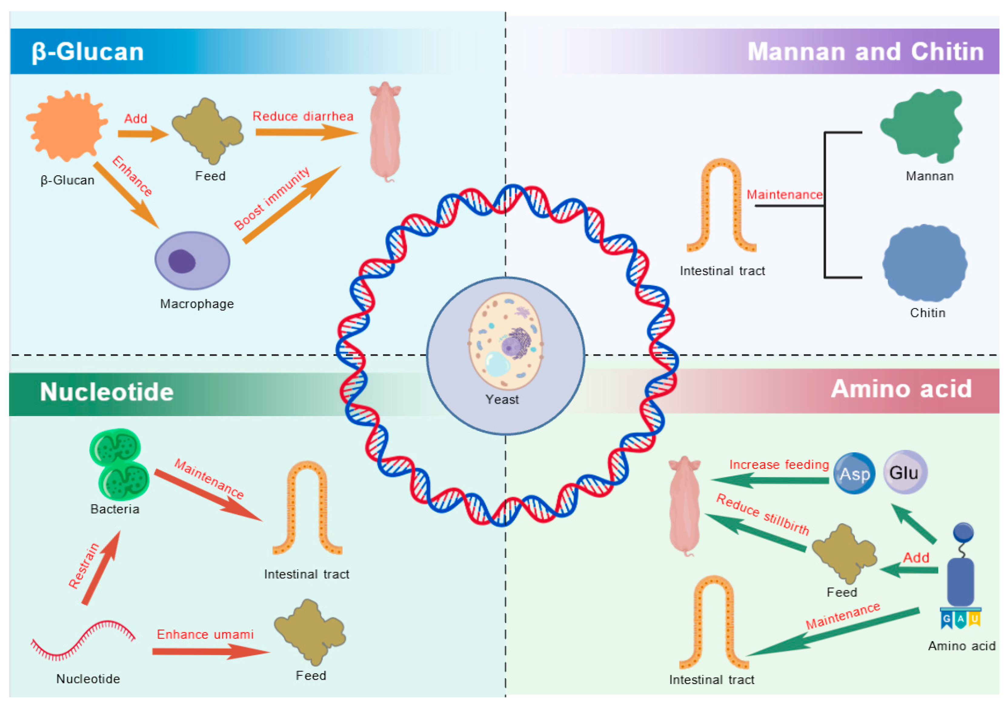 Microorganisms 13 01669 g001