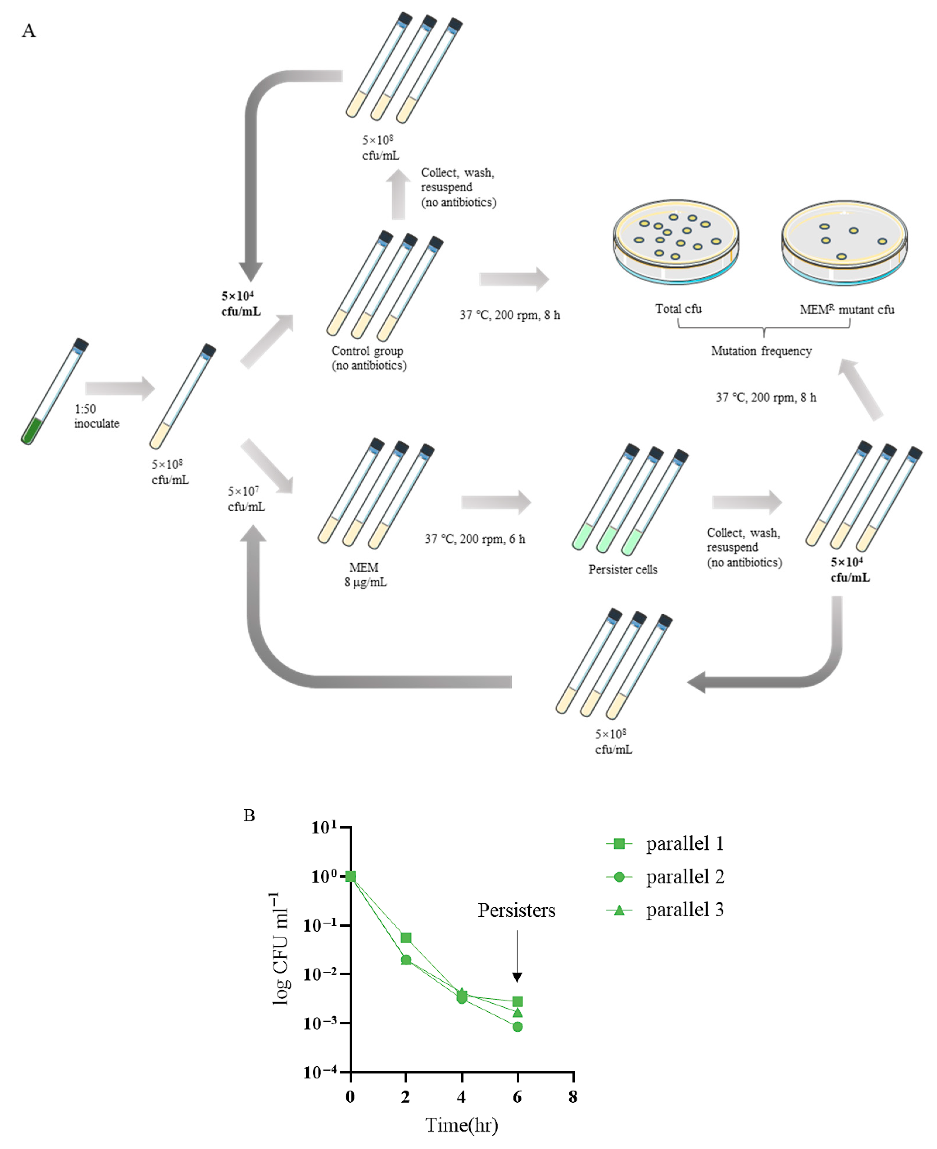 Microorganisms 13 01672 g001