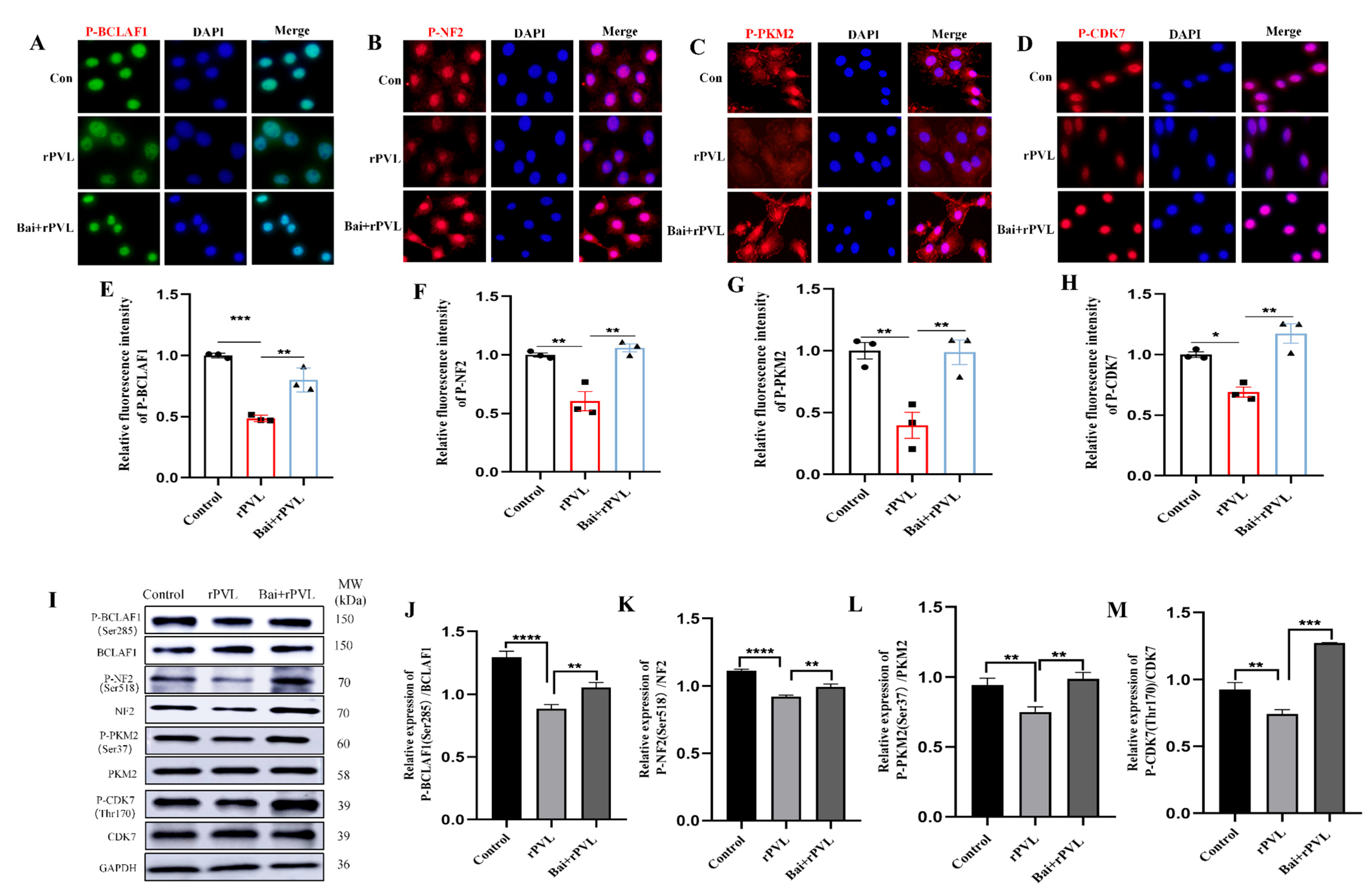 Microorganisms 13 01673 g004
