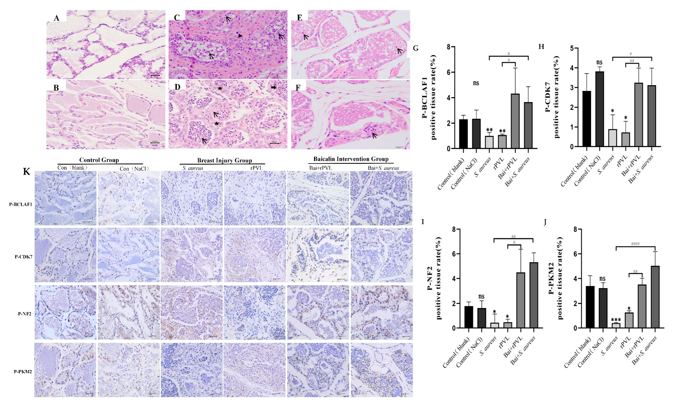 Microorganisms 13 01673 g005
