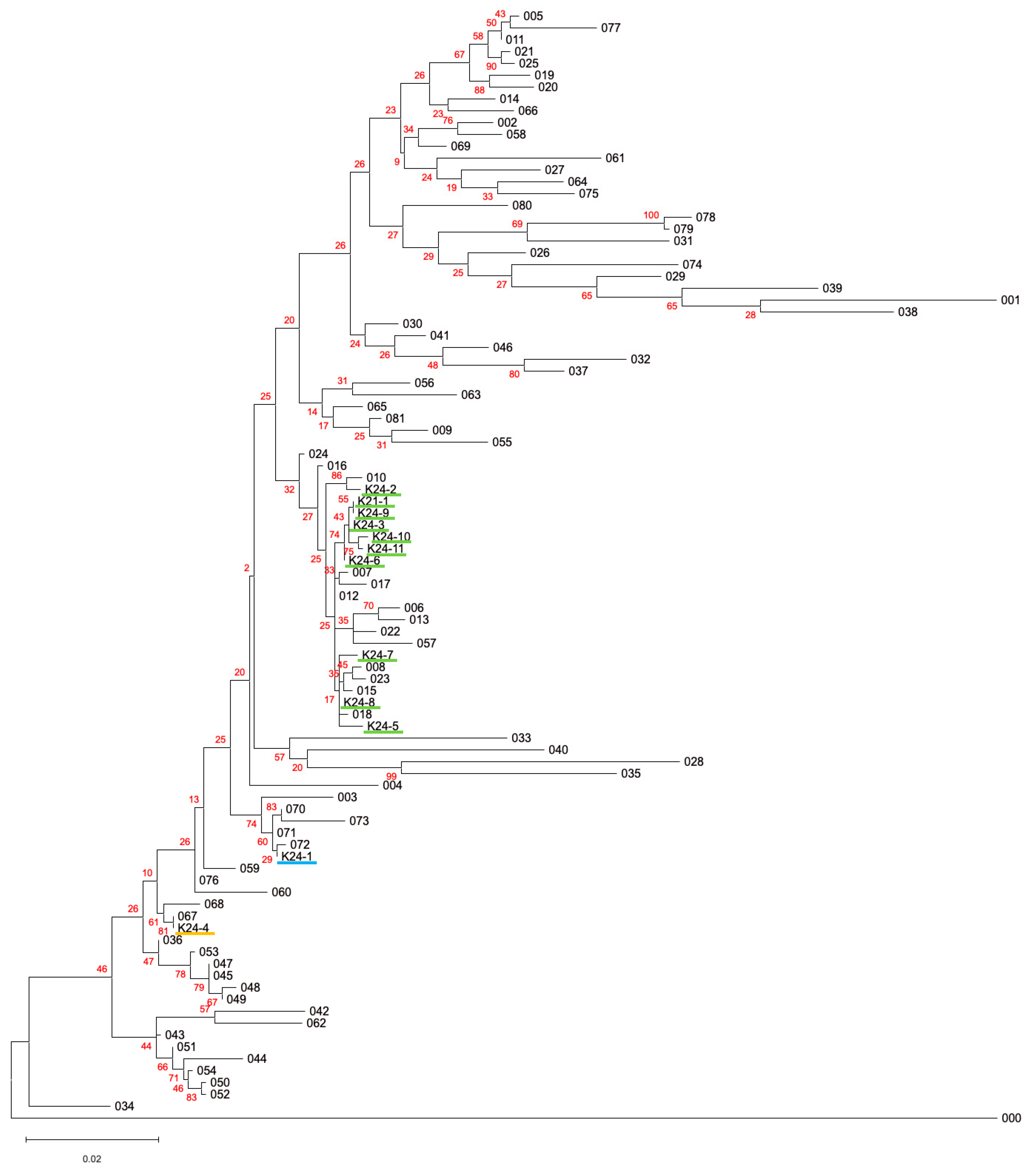 Microorganisms 13 01675 g002
