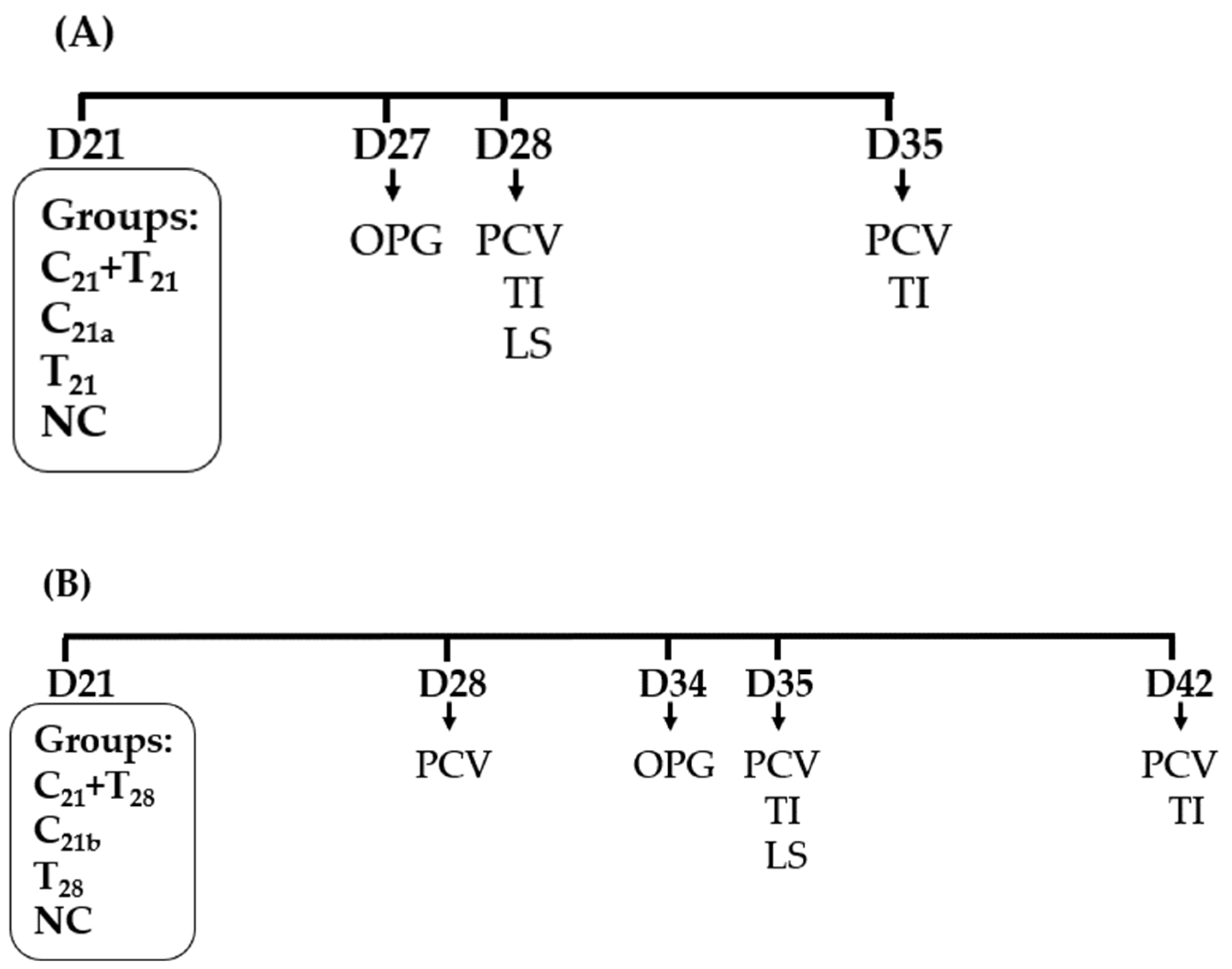 Microorganisms 13 01676 g001
