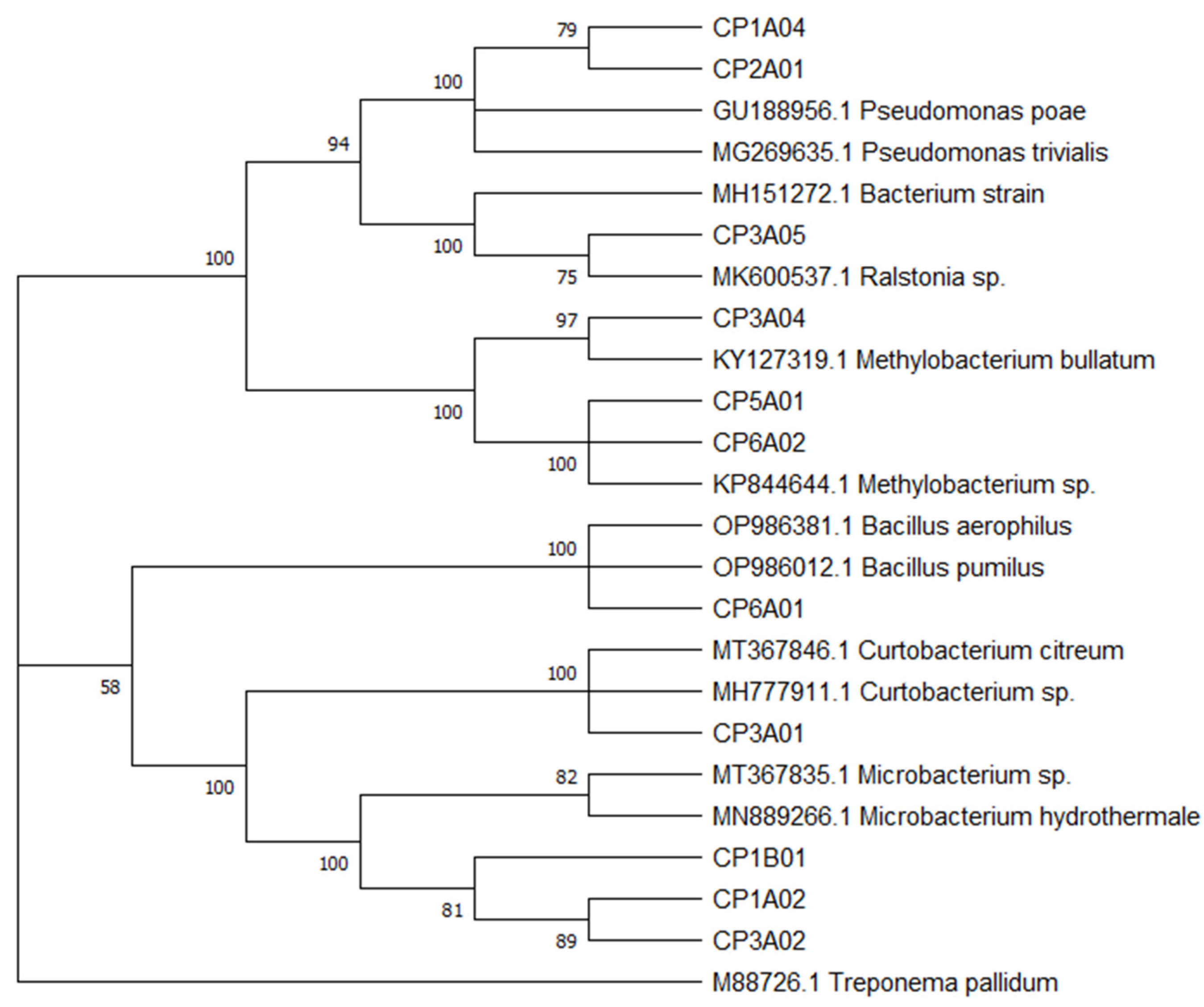 Microorganisms 13 01686 g002