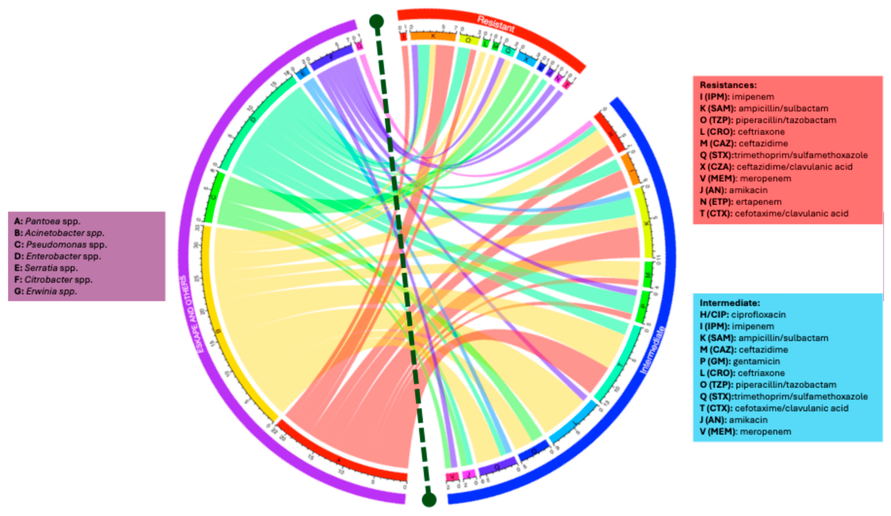 Microorganisms 13 01687 g004
