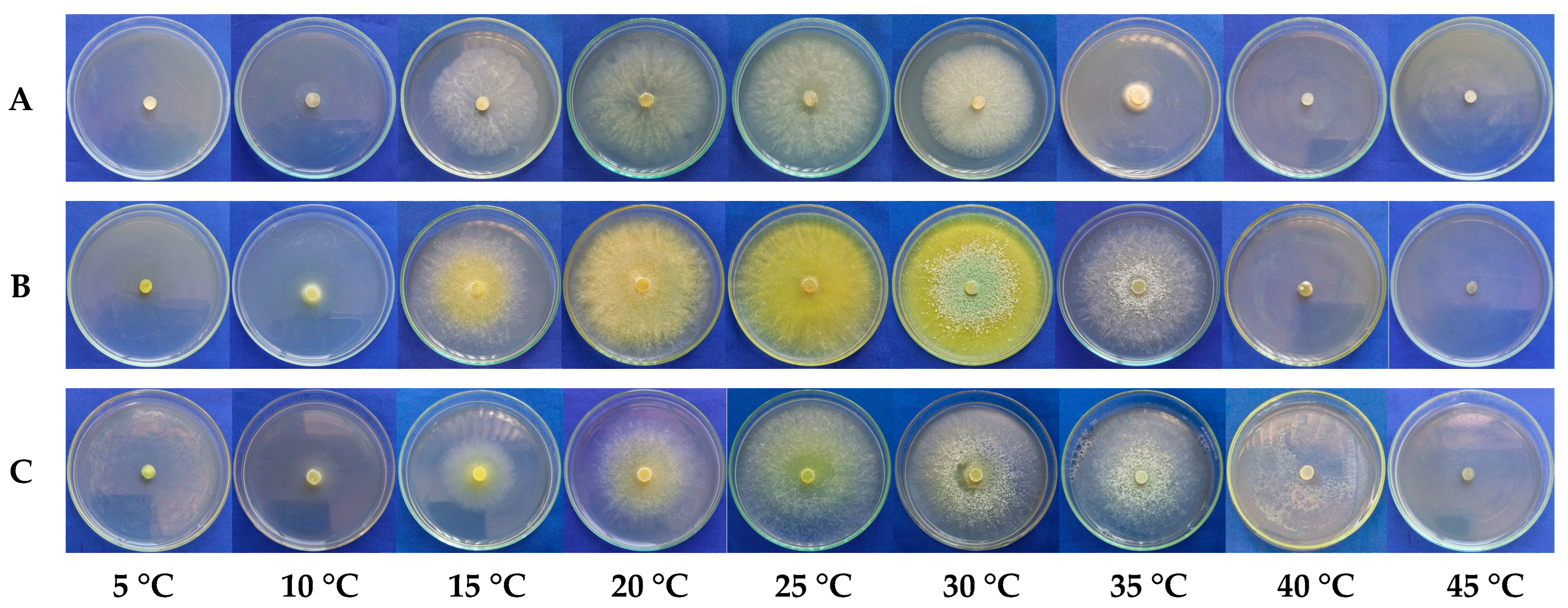Microorganisms 13 01689 g003