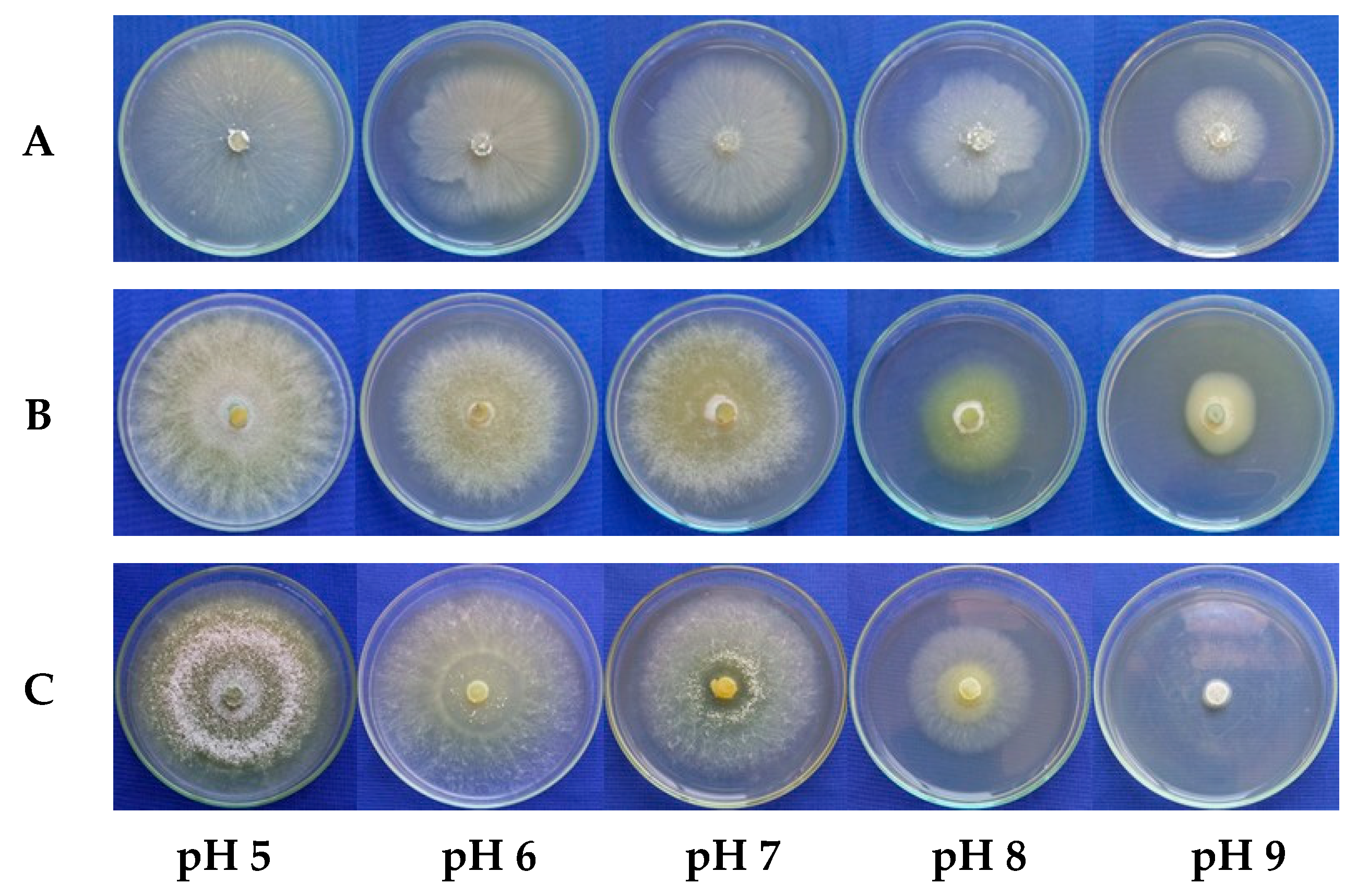 Microorganisms 13 01689 g005
