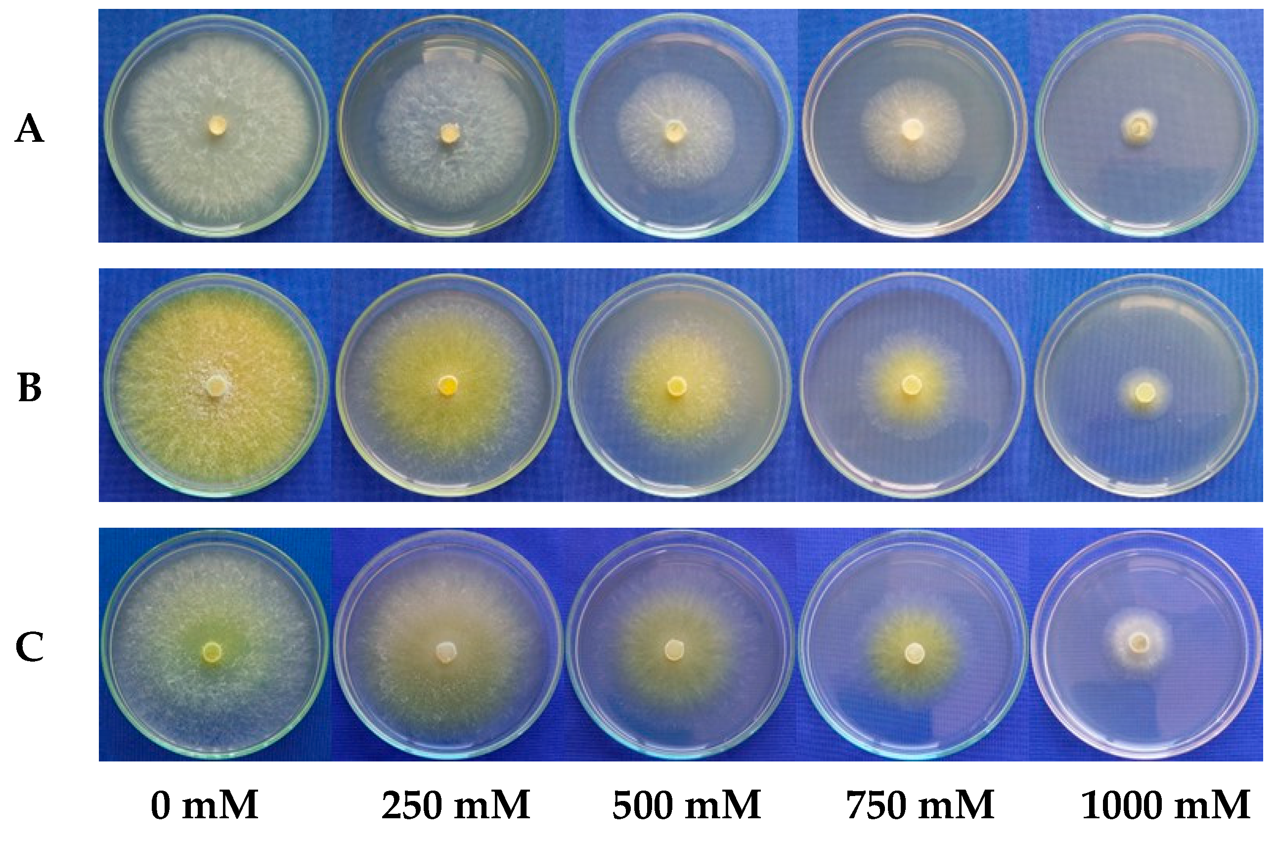 Microorganisms 13 01689 g007