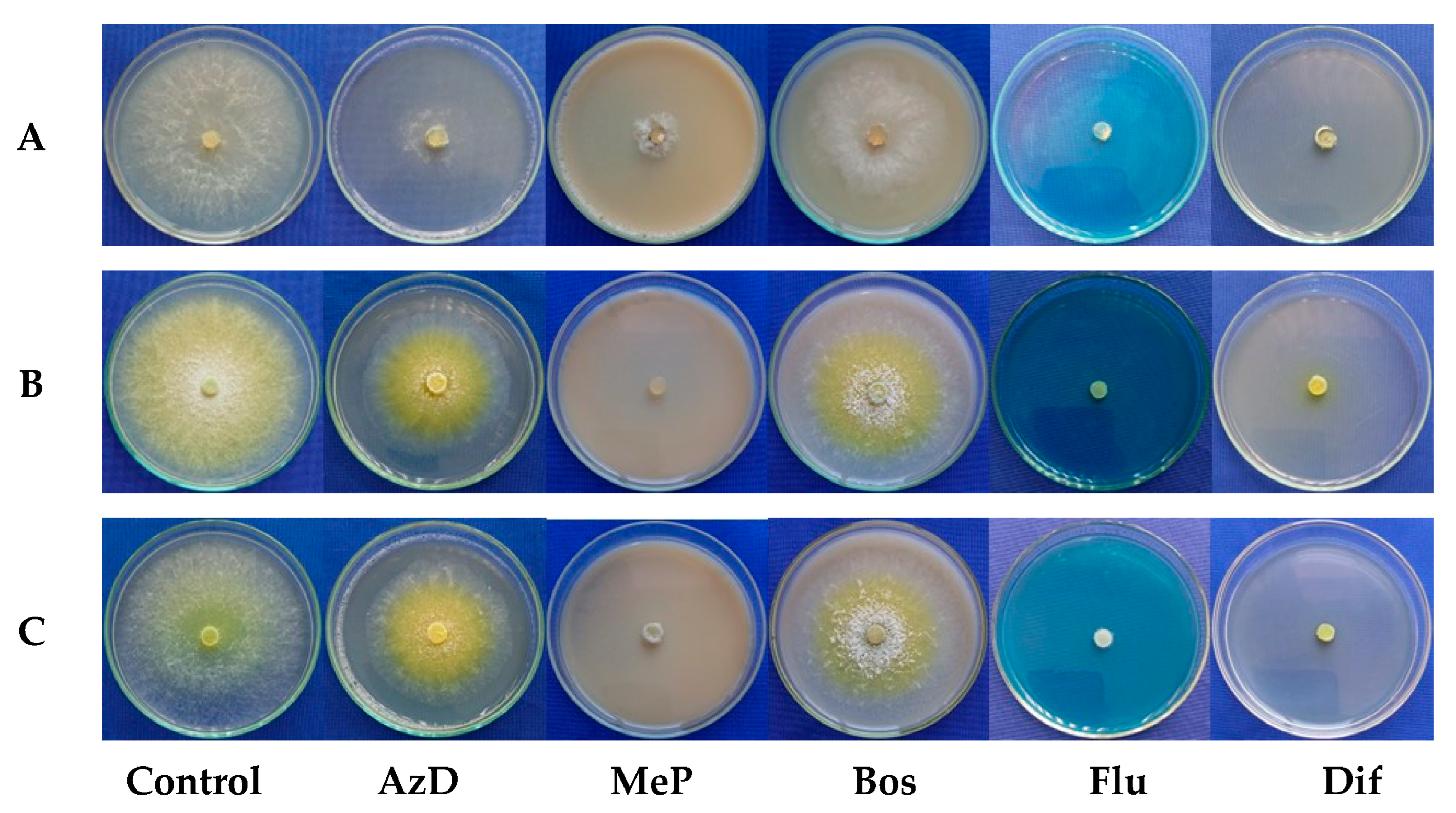 Microorganisms 13 01689 g009
