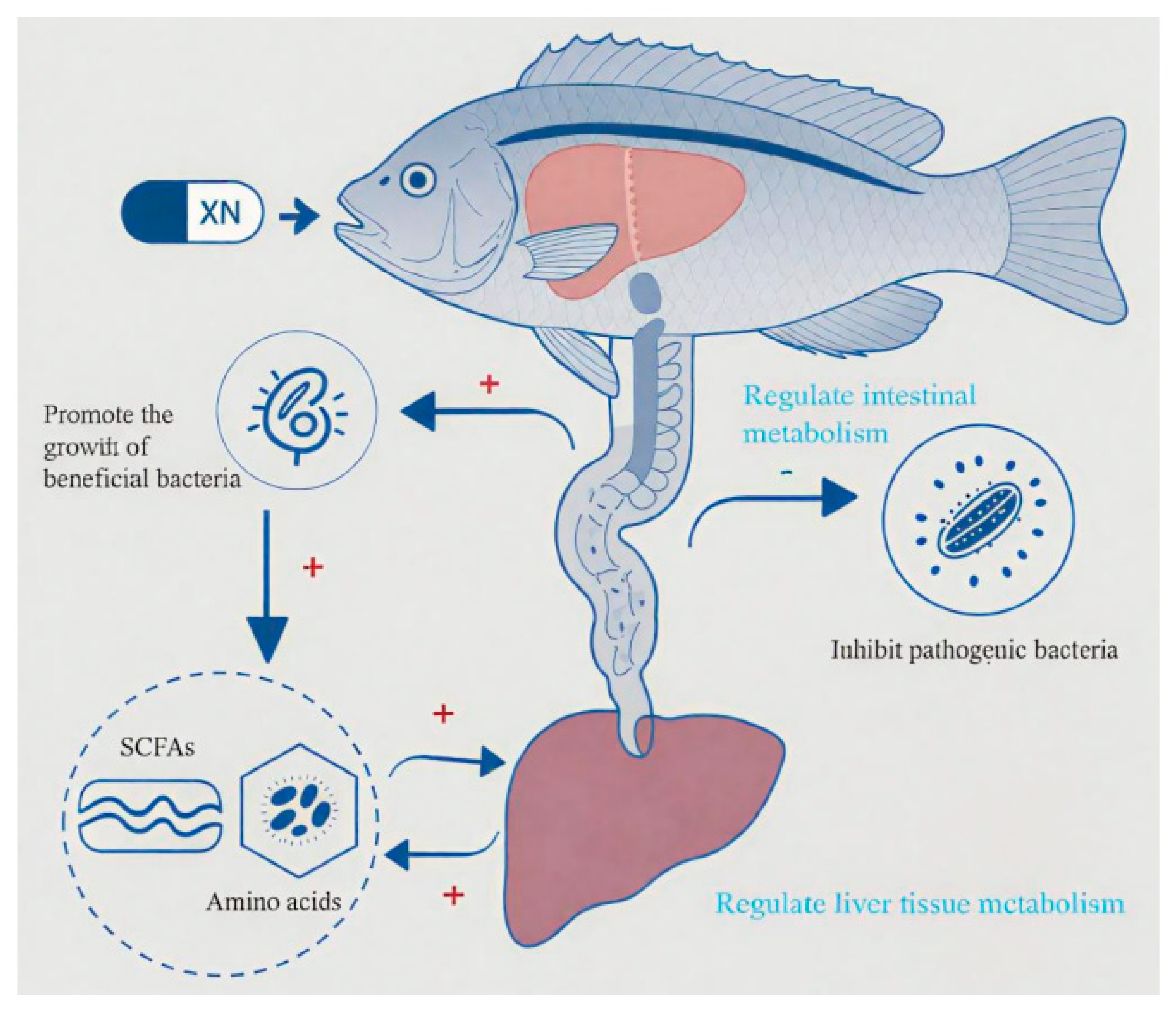 Microorganisms 13 01699 g008