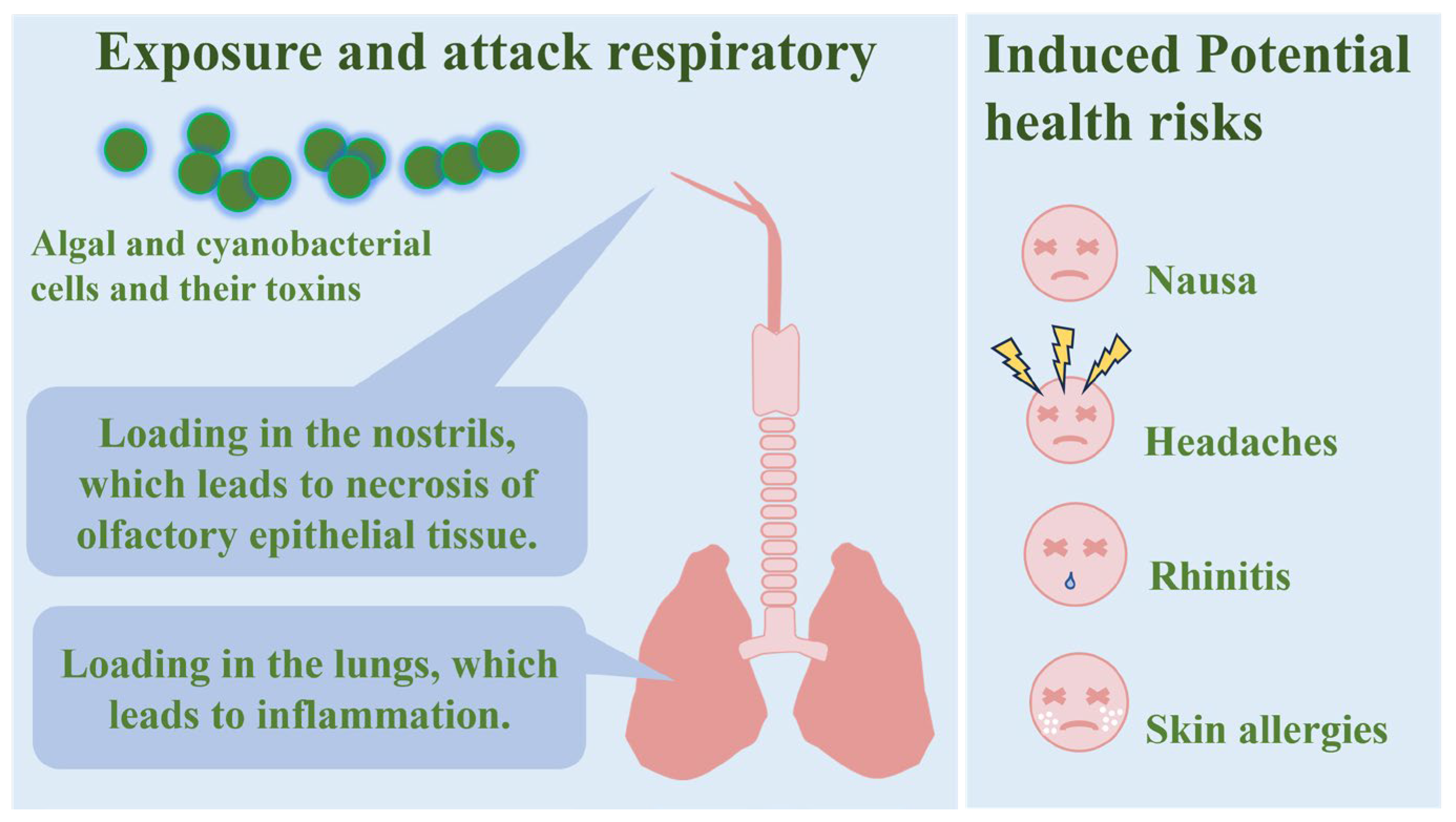 Microorganisms 13 01702 g004