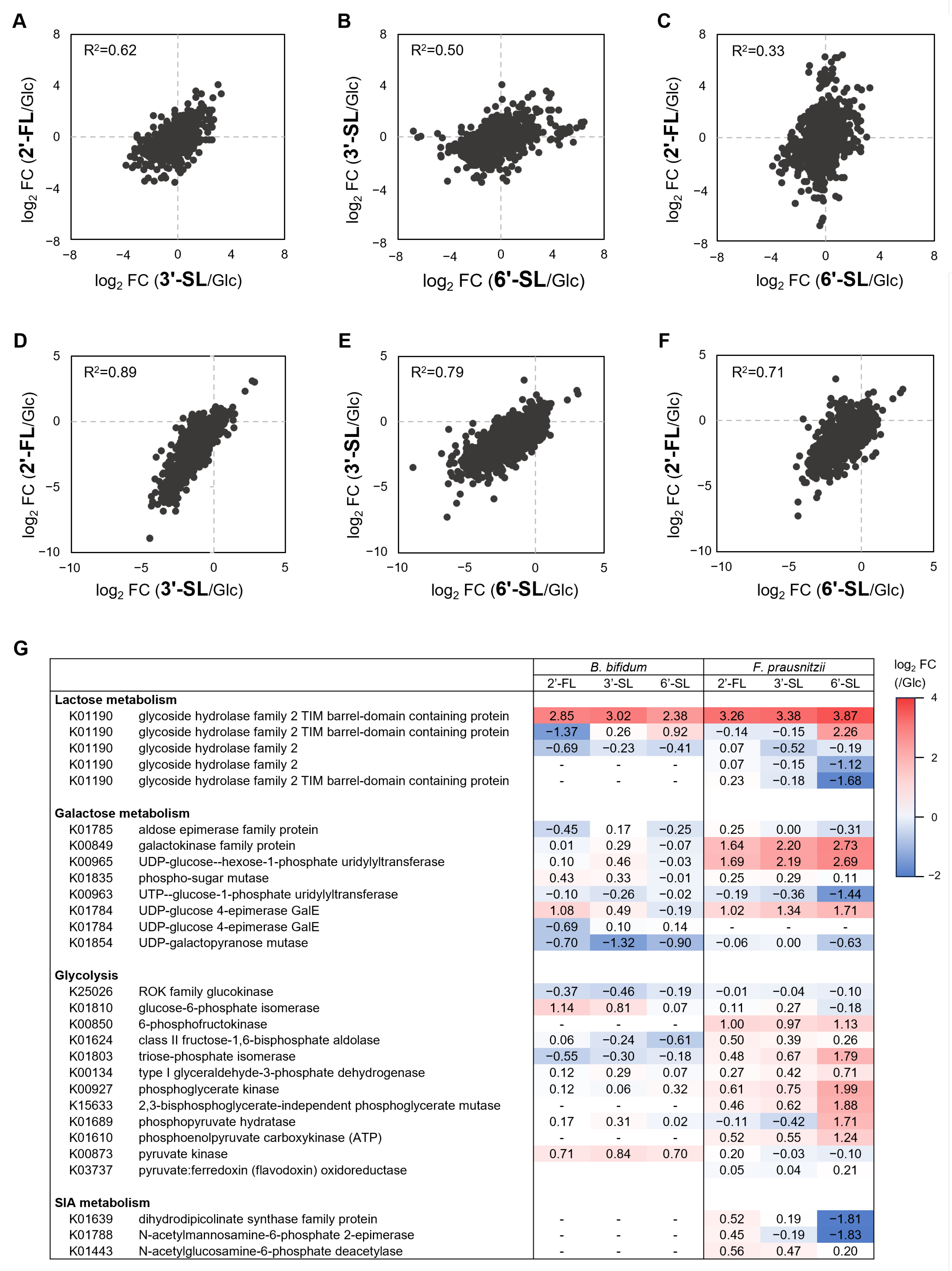 Microorganisms 13 01705 g005