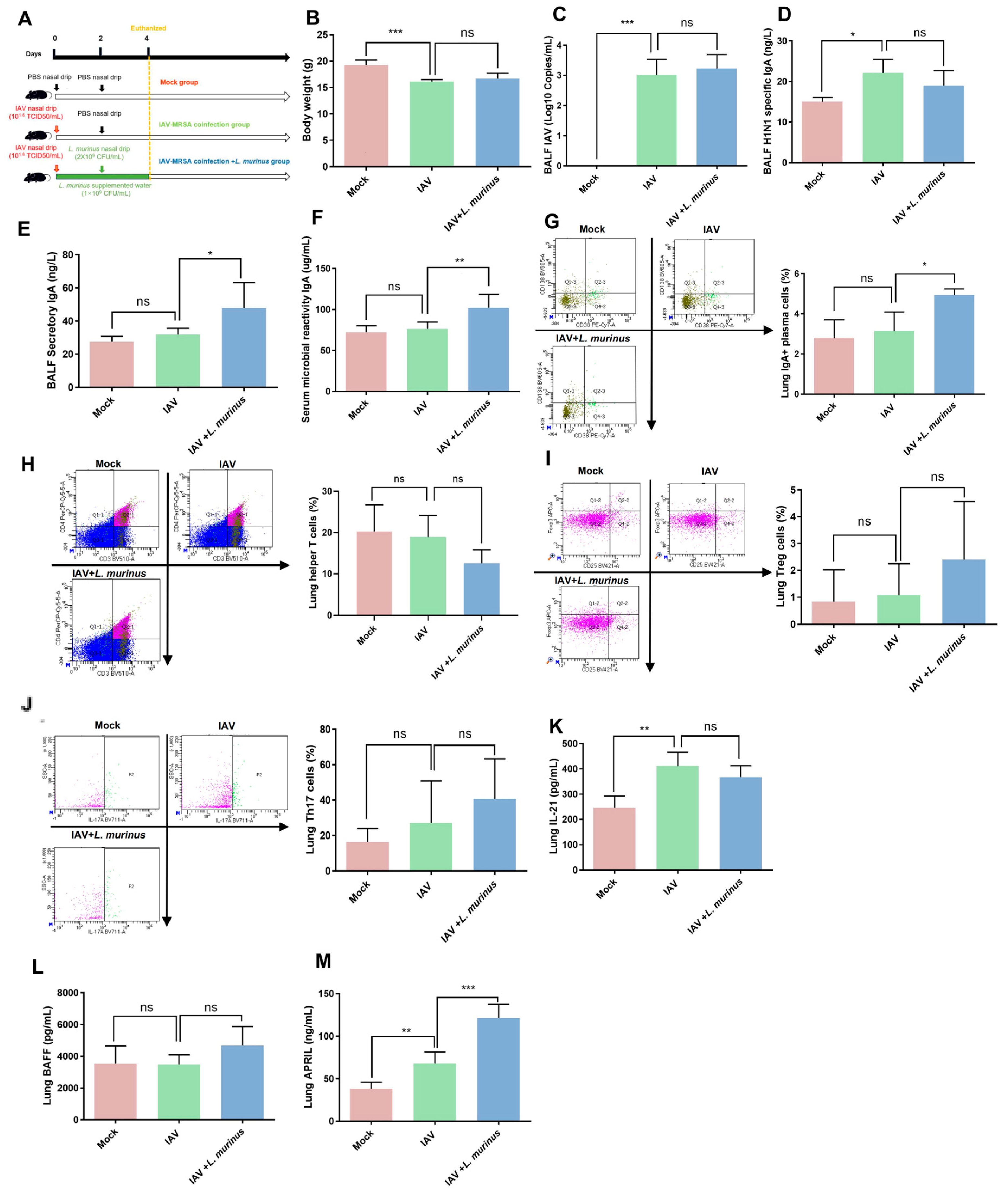 Microorganisms 13 01709 g002