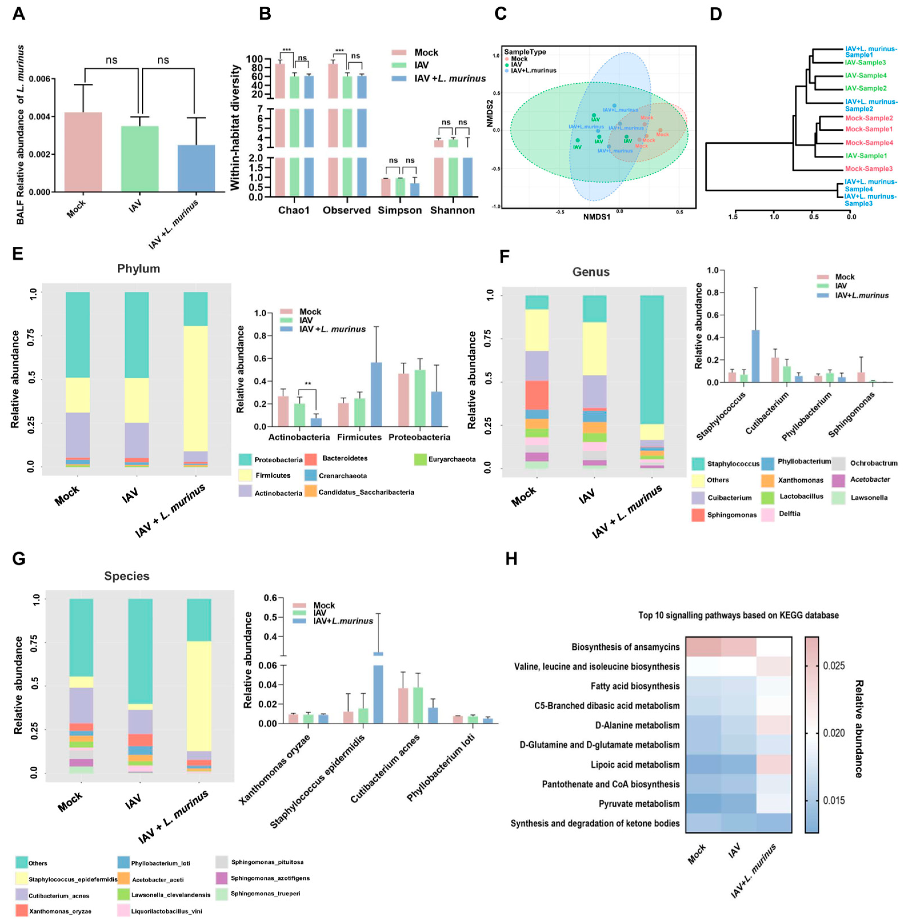 Microorganisms 13 01709 g003