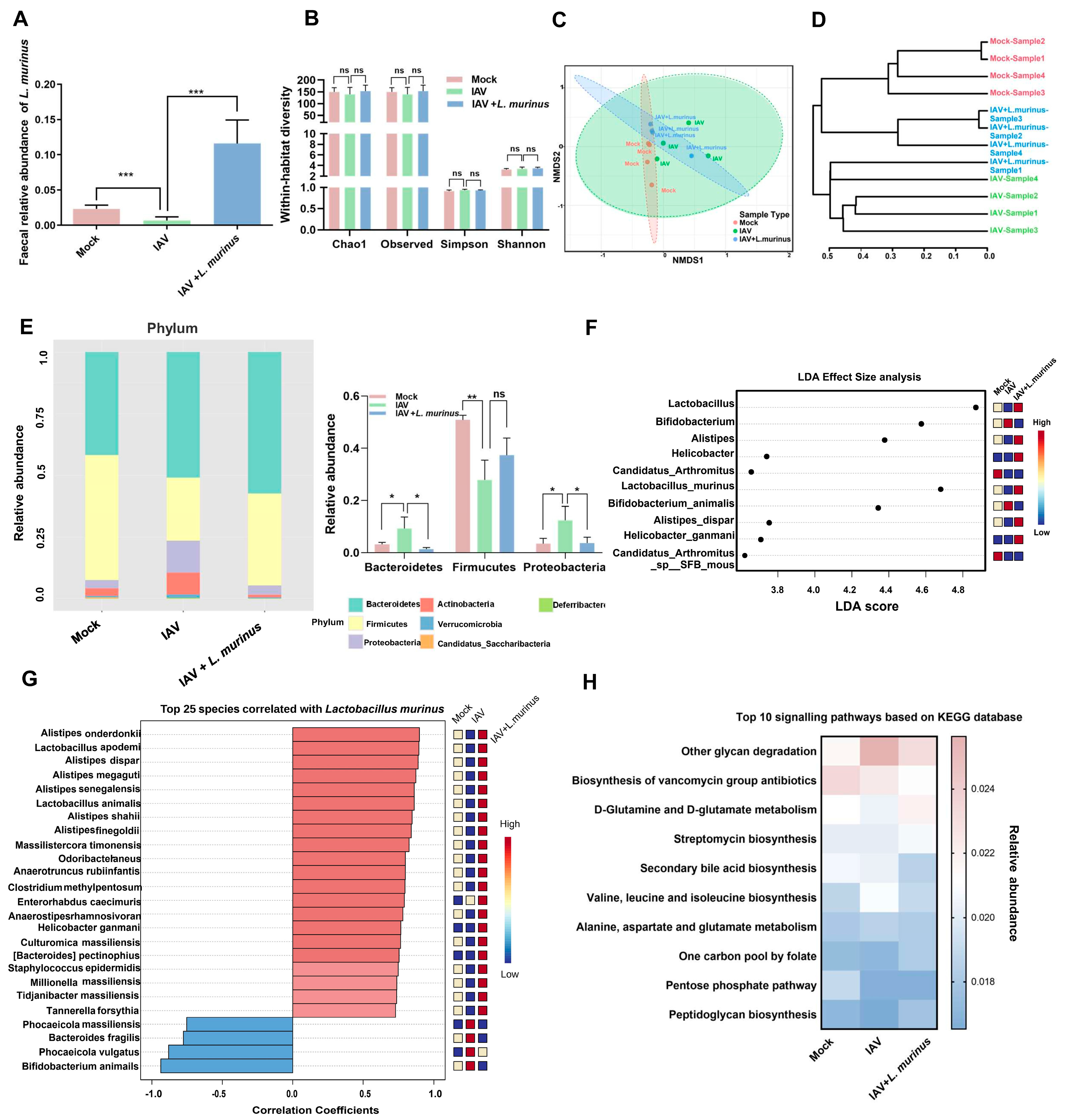 Microorganisms 13 01709 g004