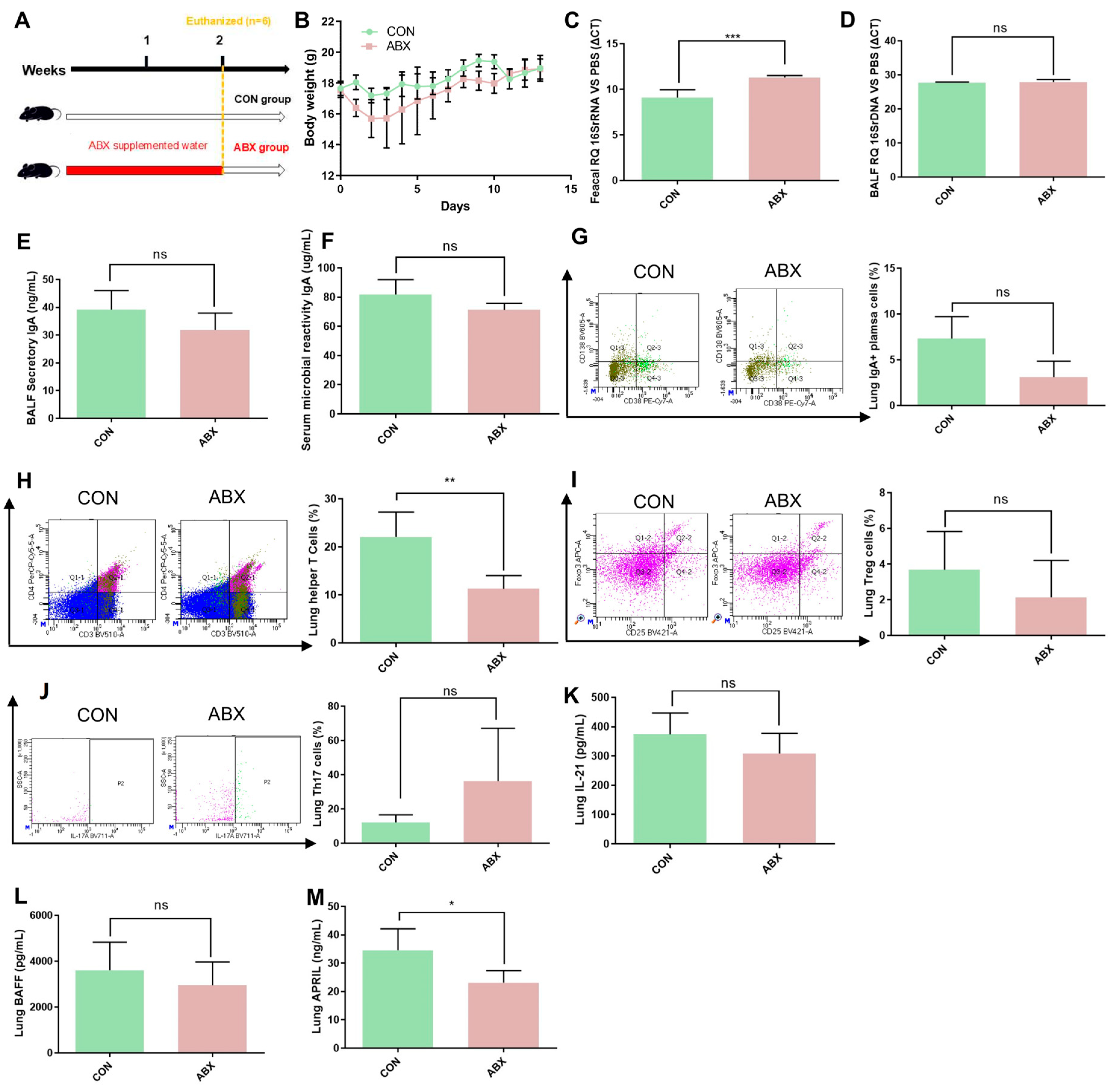 Microorganisms 13 01709 g006