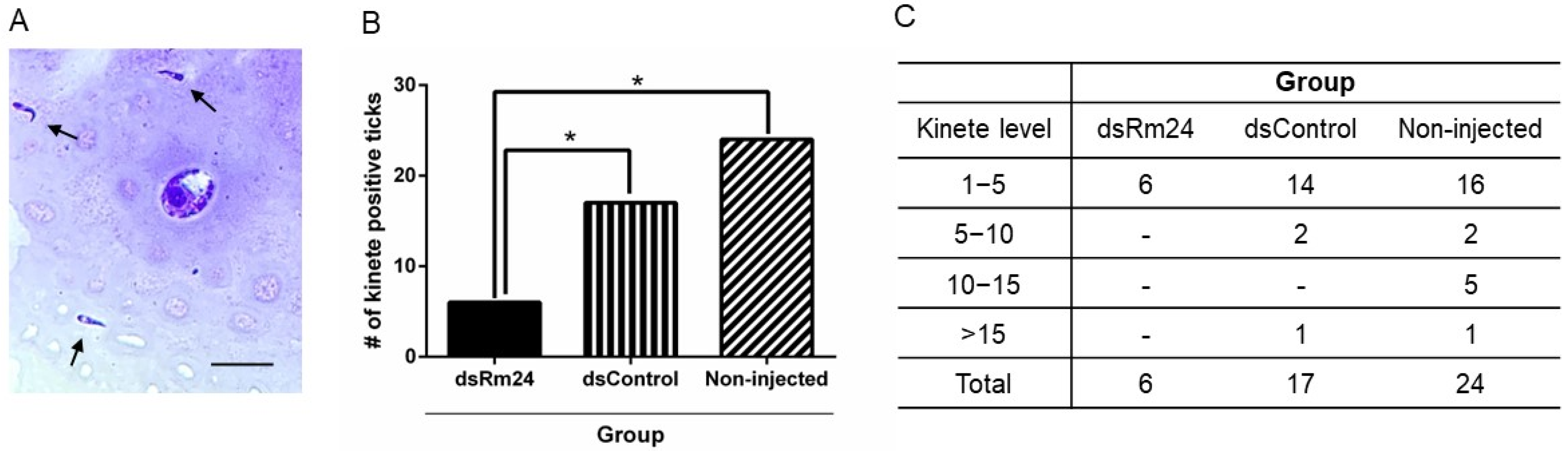 Microorganisms 13 01713 g003