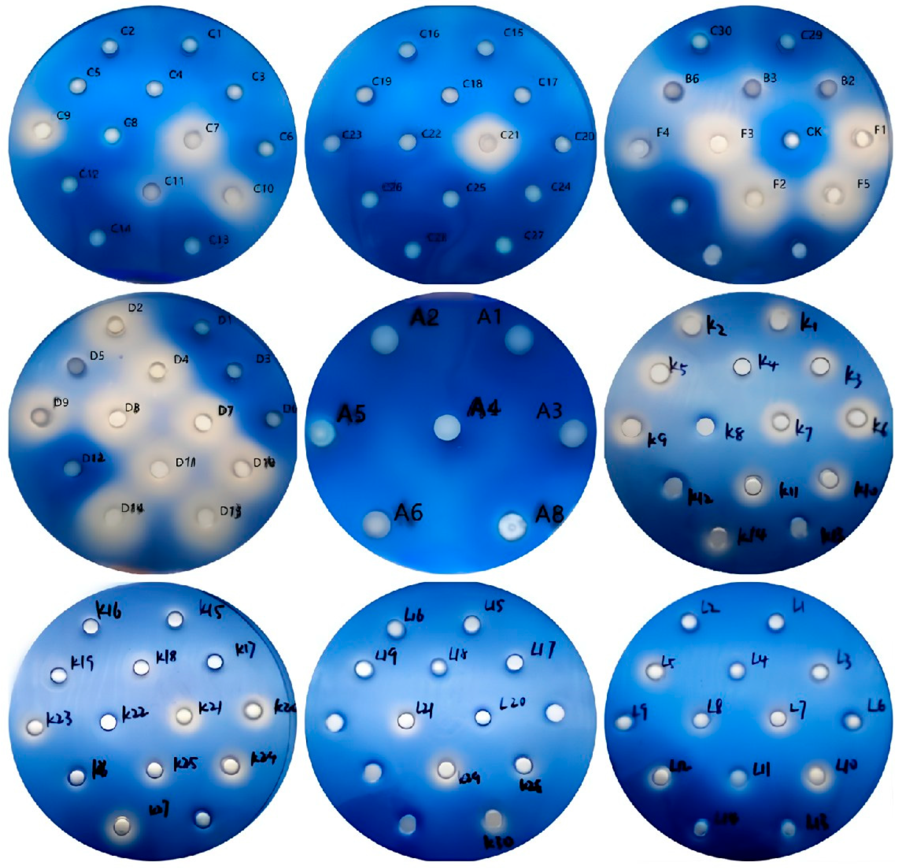 Microorganisms 13 01716 g006