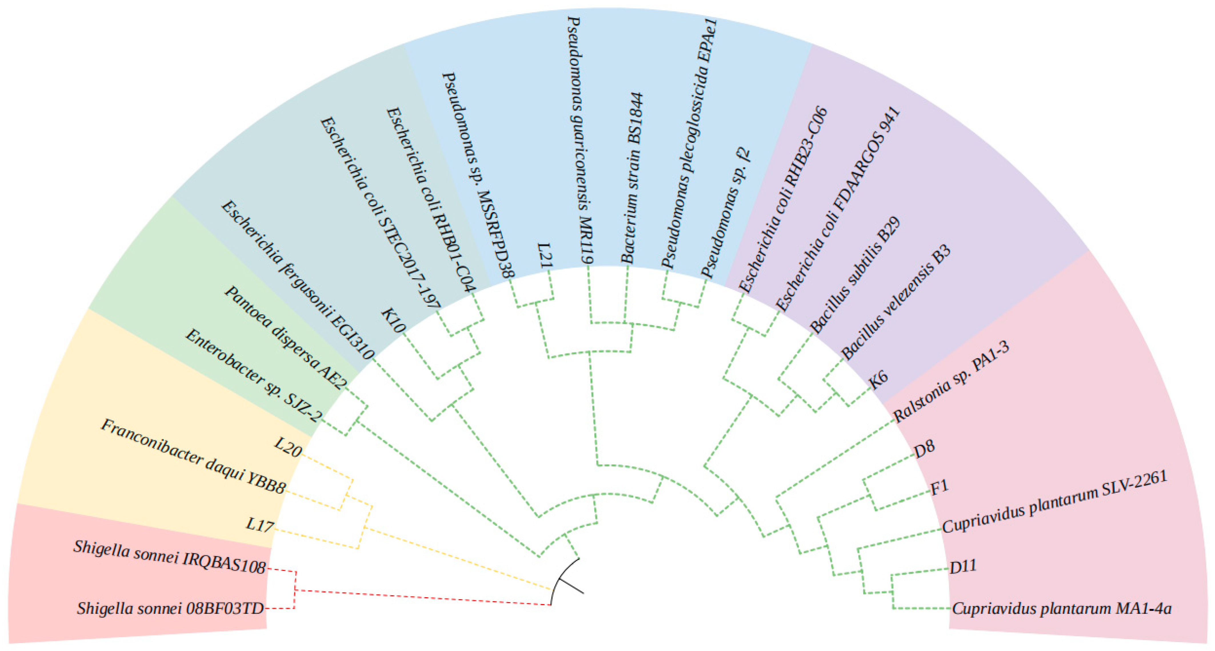 Microorganisms 13 01716 g008