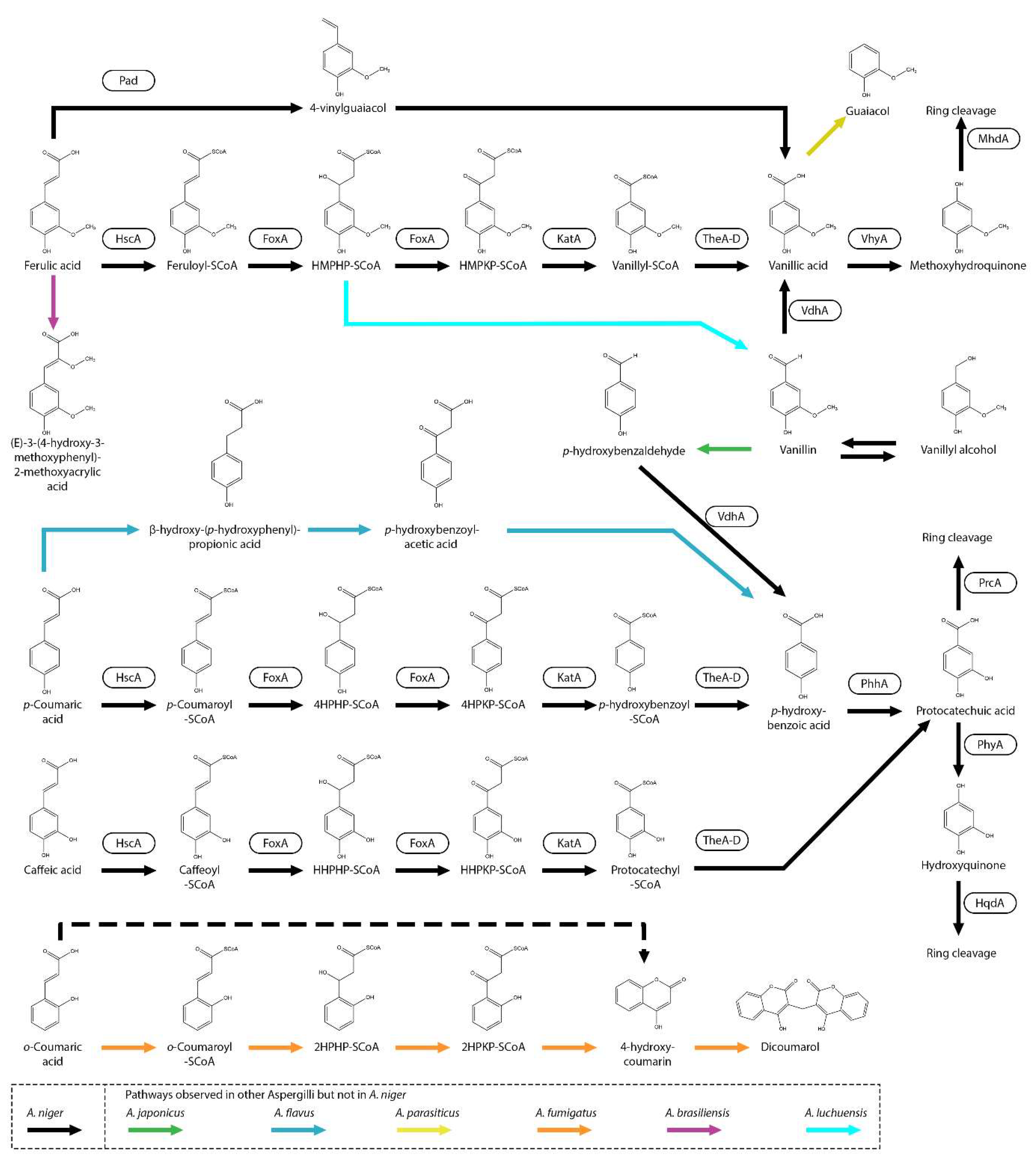 Microorganisms 13 01718 g001