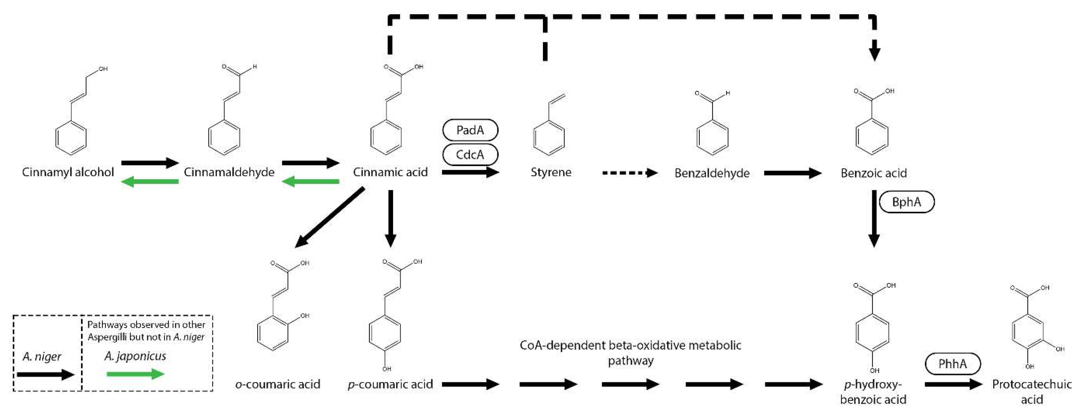 Microorganisms 13 01718 g002