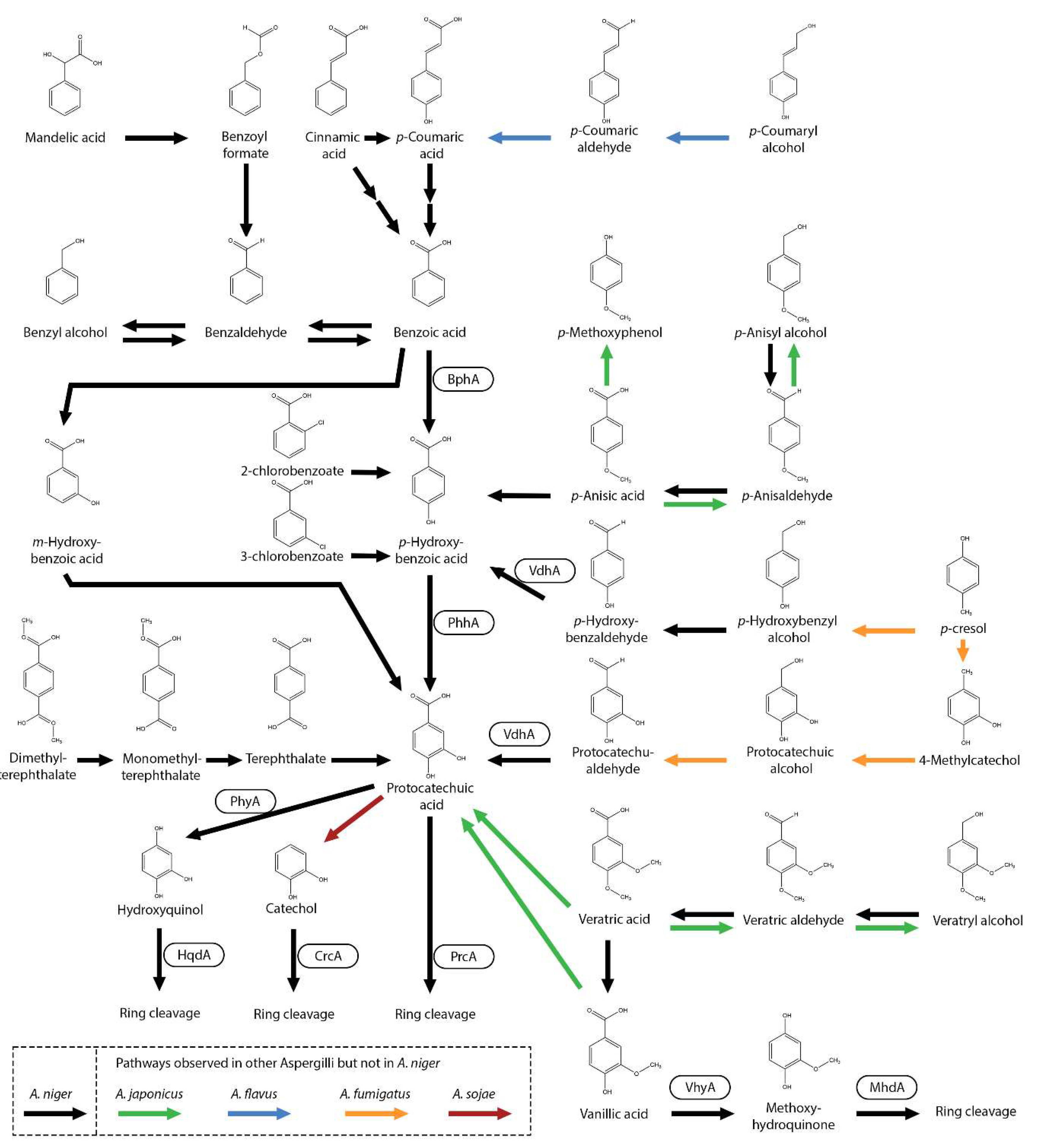 Microorganisms 13 01718 g003