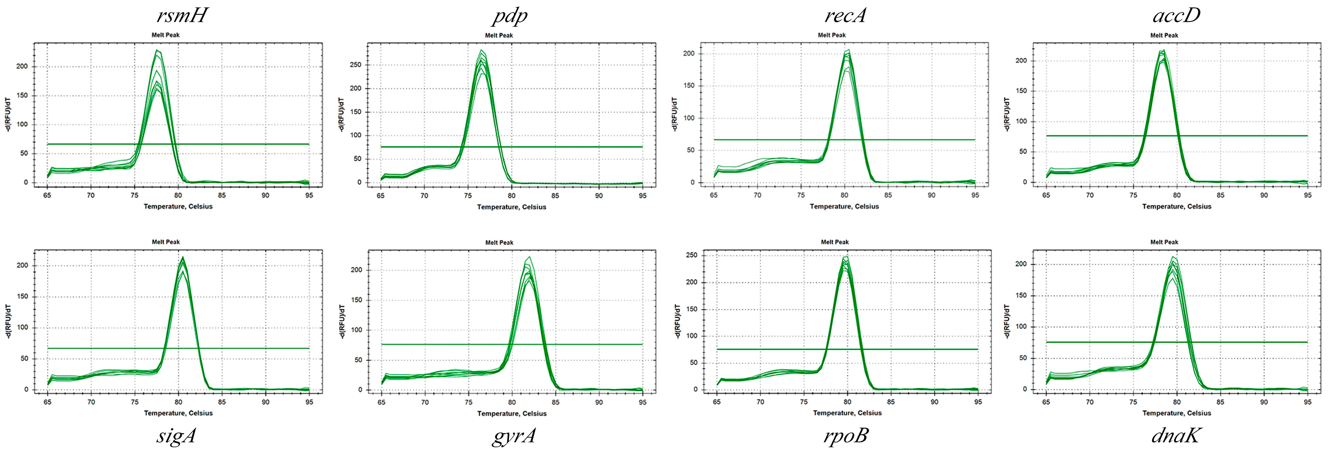 Microorganisms 13 01721 g002