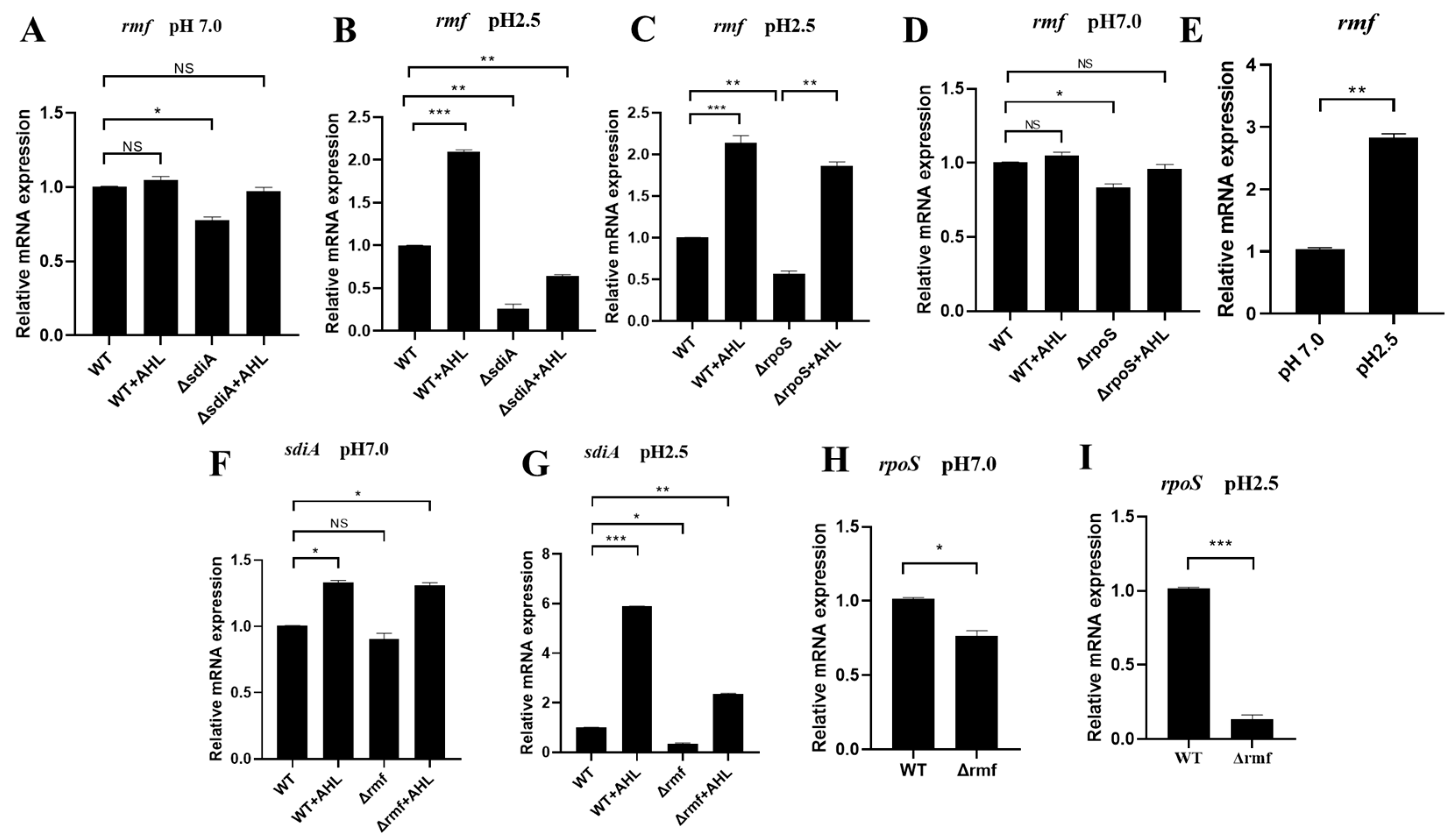 Microorganisms 13 01730 g005