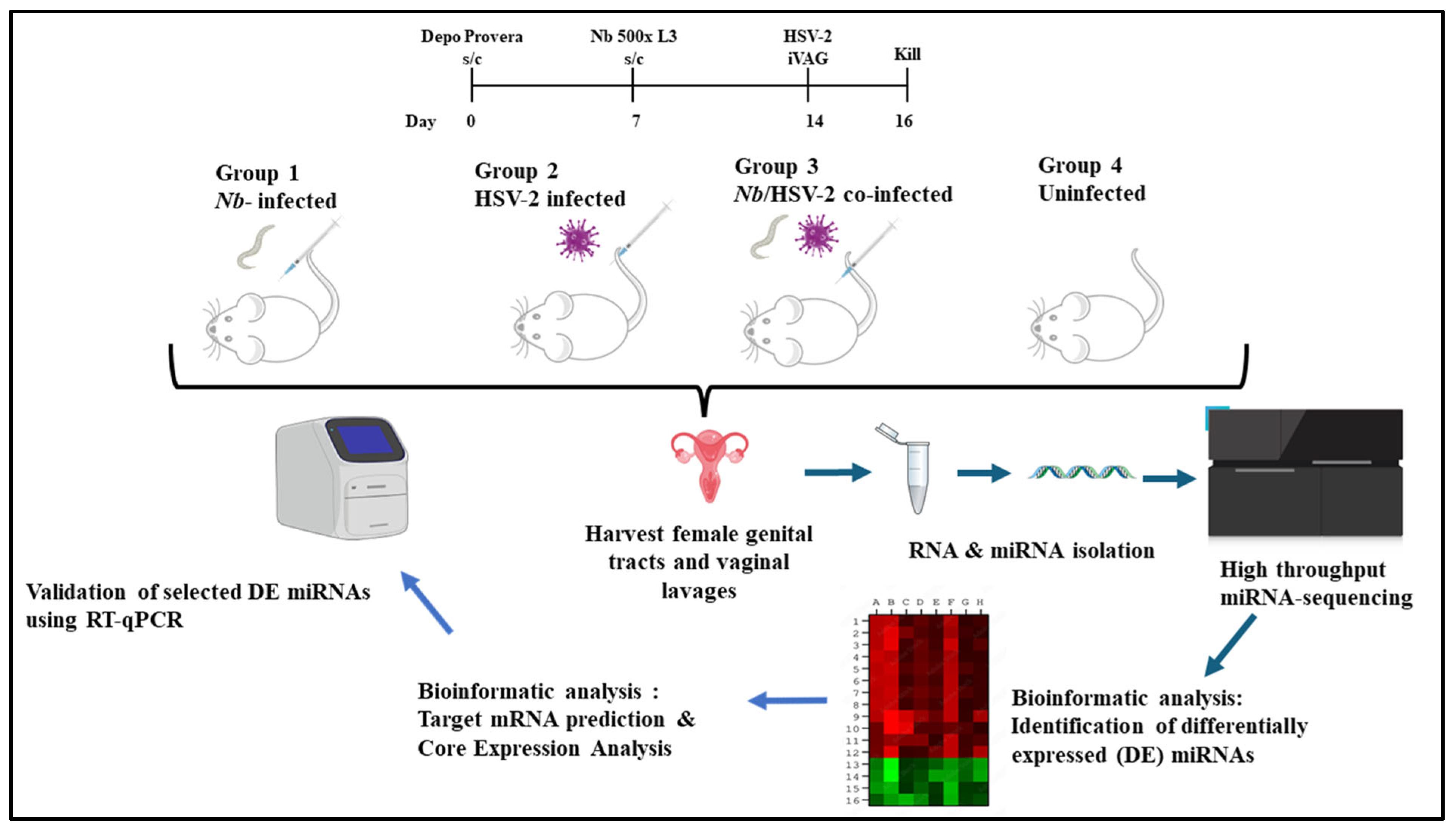 Microorganisms 13 01734 g001