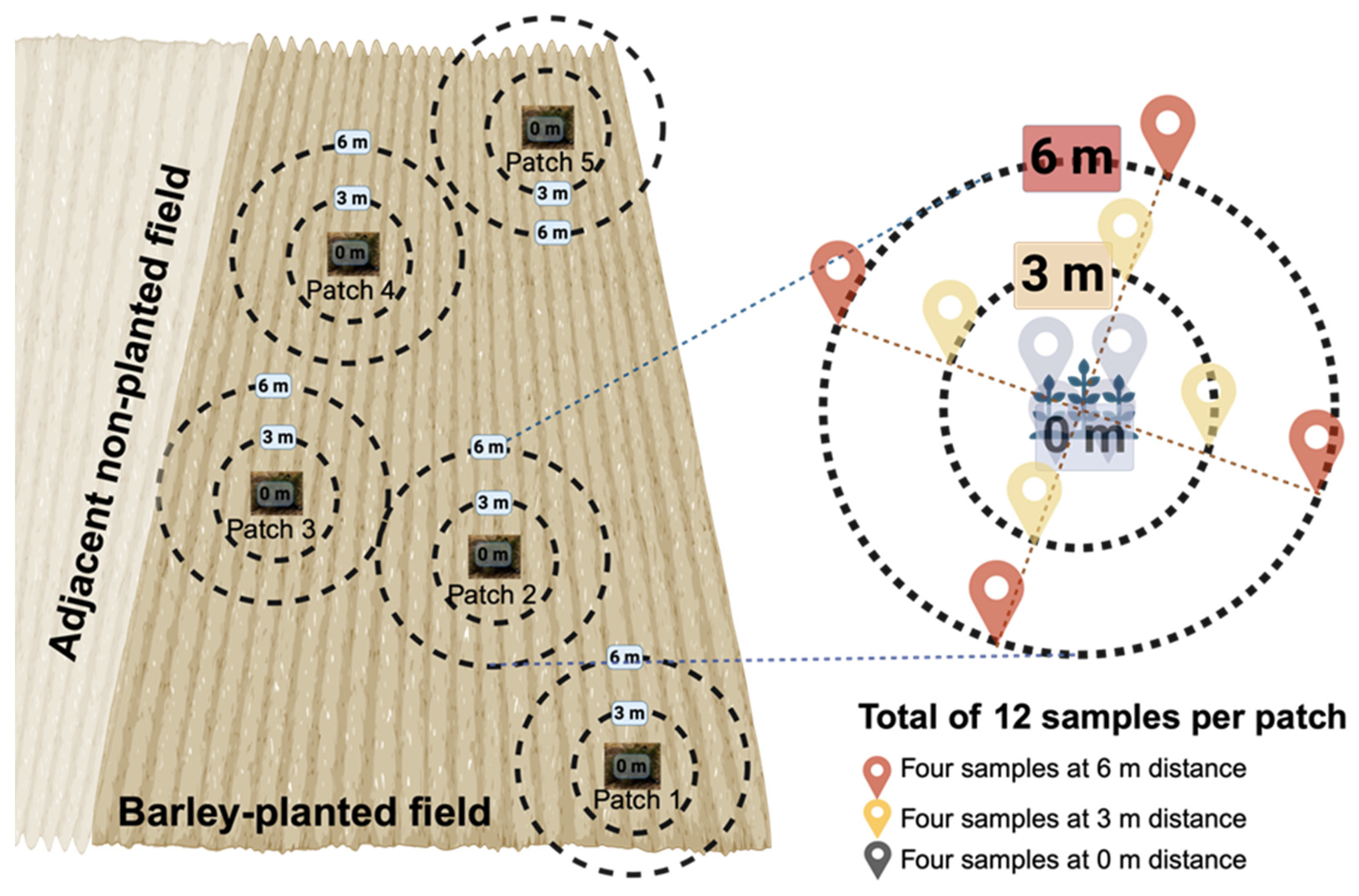 Microorganisms 13 01740 g001